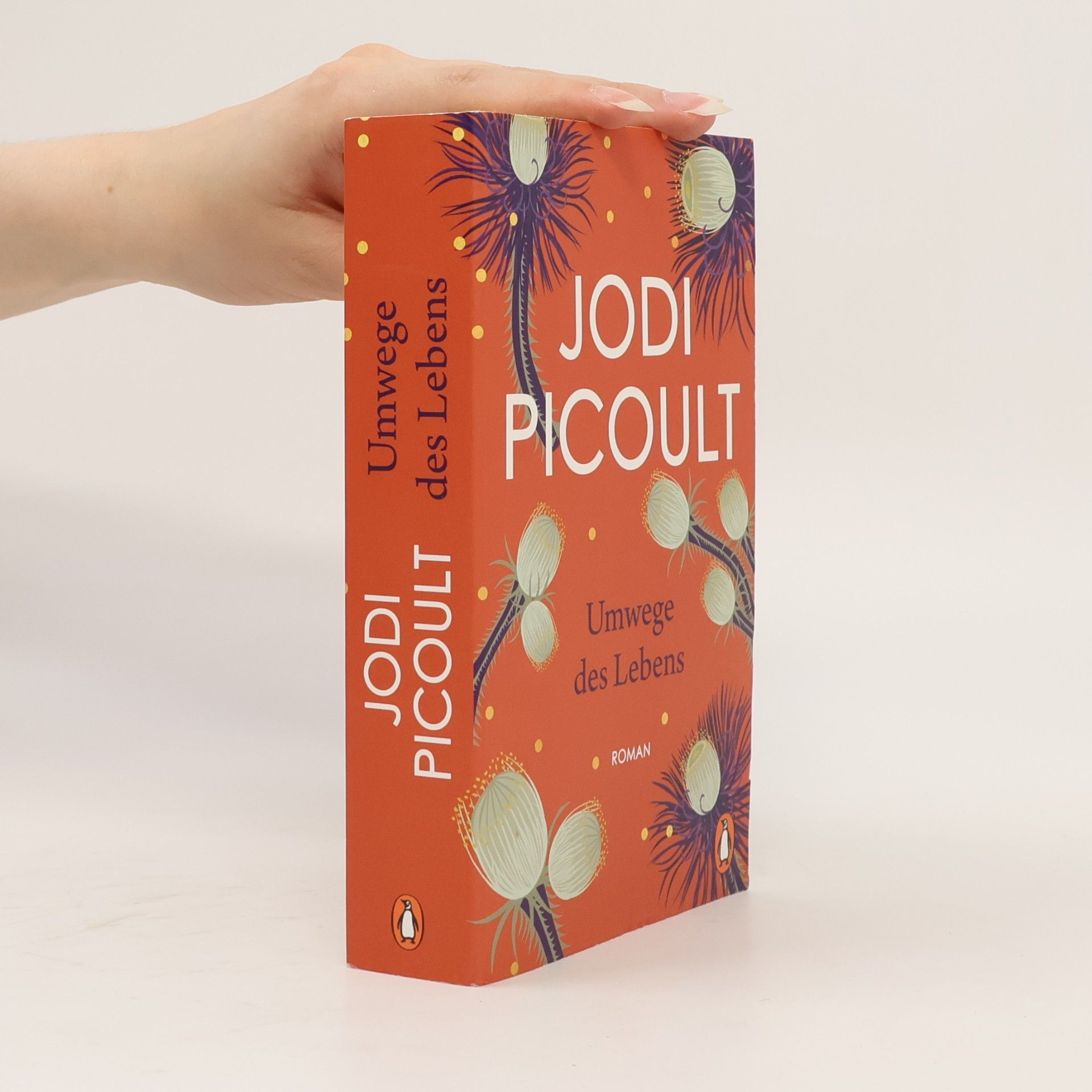 Jodi Picoult Umwege des Lebens