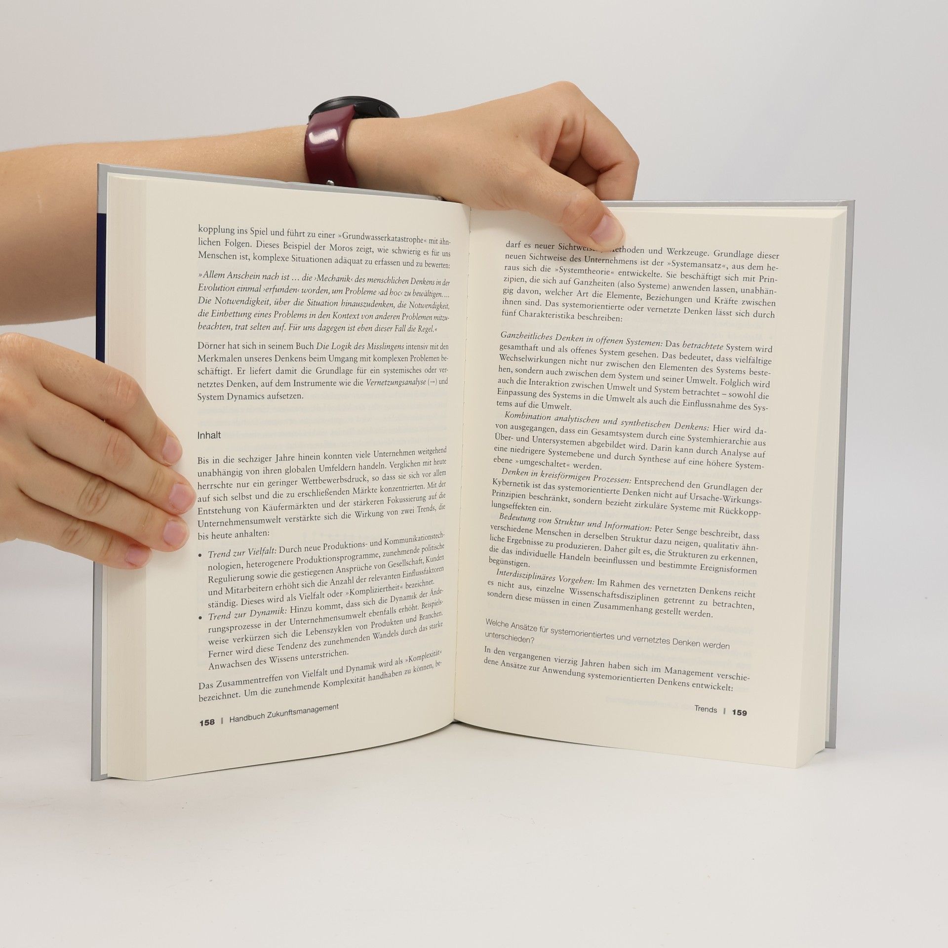 Alexander Fink Handbuch Zukunftsmanagement