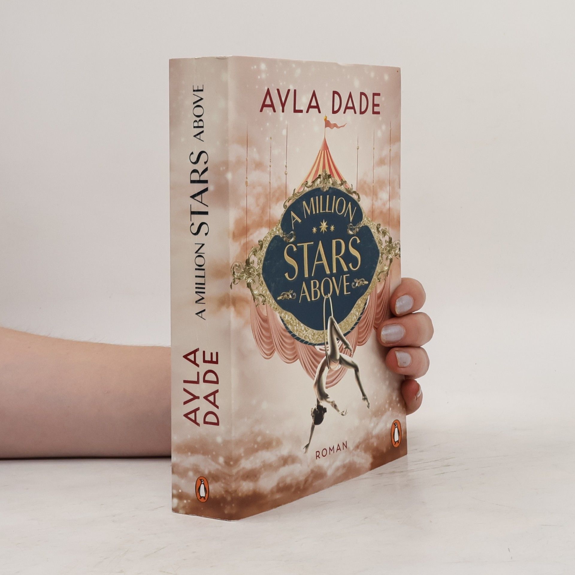 Ayla Dade A Million Stars Above / Sky Circus Bd.1
