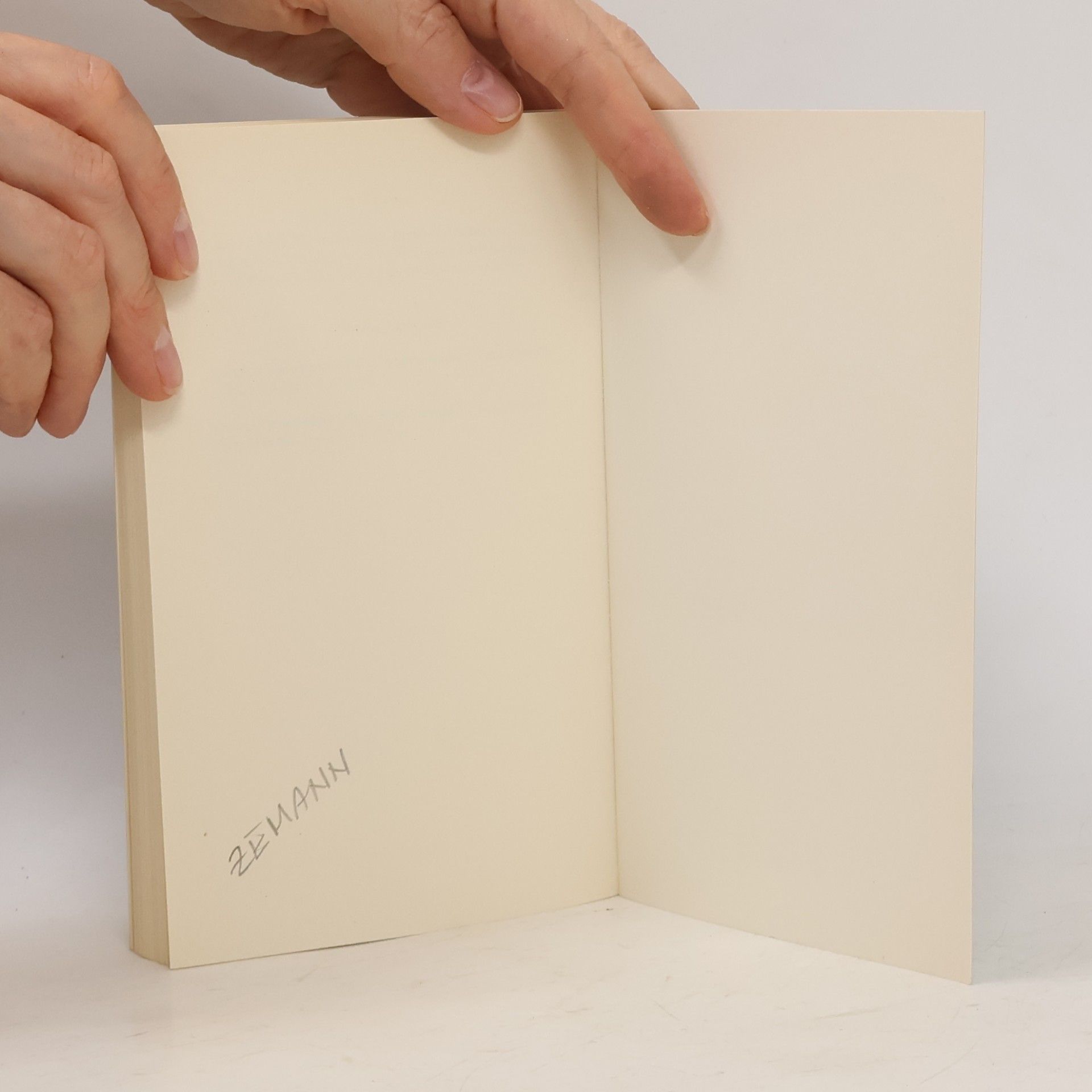 Peter Handke Die Angst Des Tormanns Beim Elfmeter