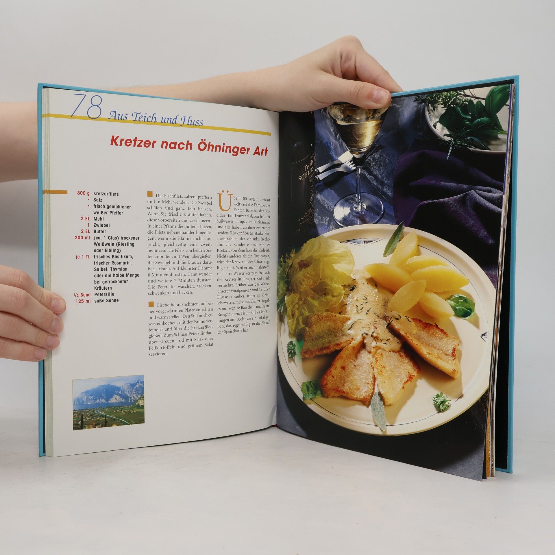 Autorenkollektiv Fisch