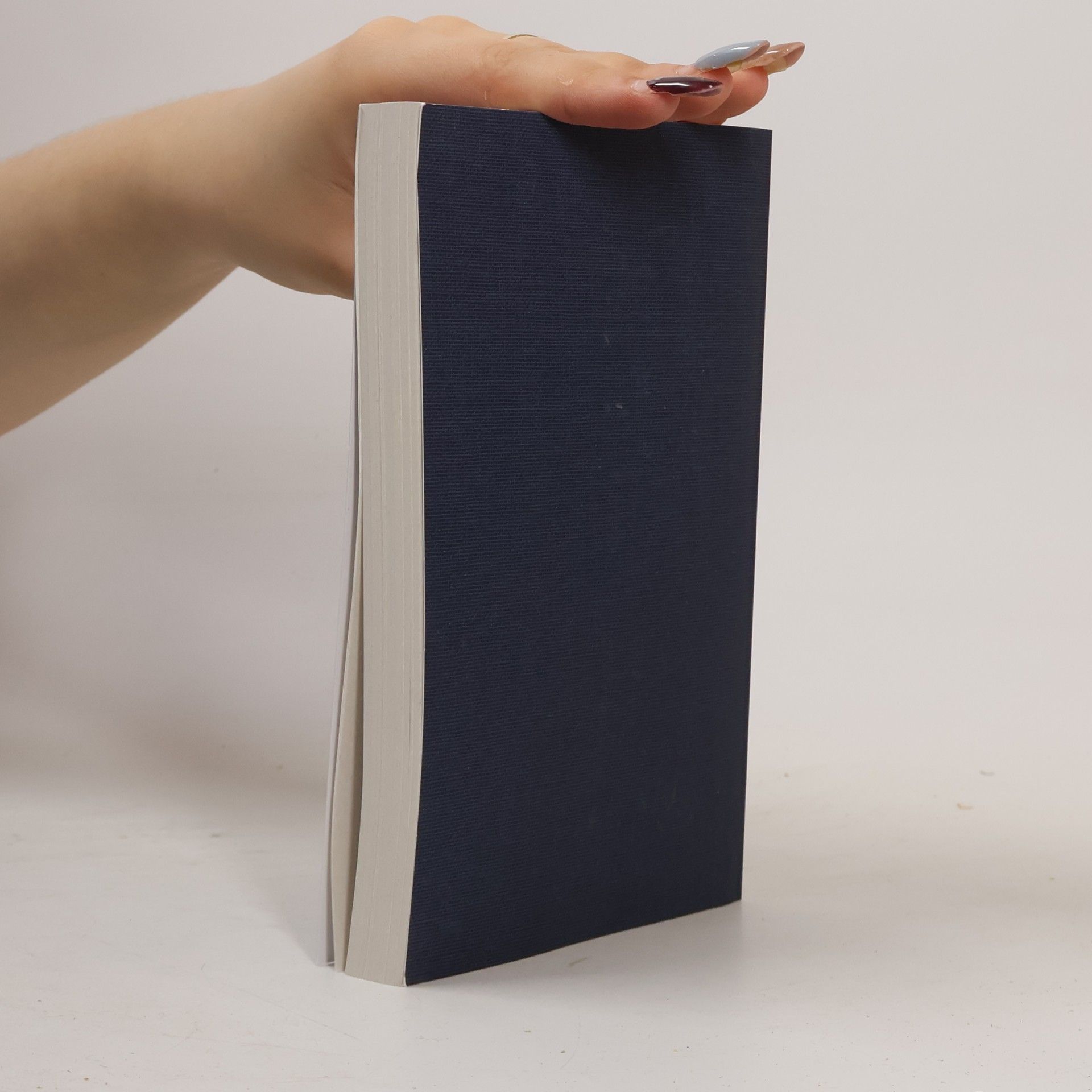 Kolektiv autorů Die Bibel