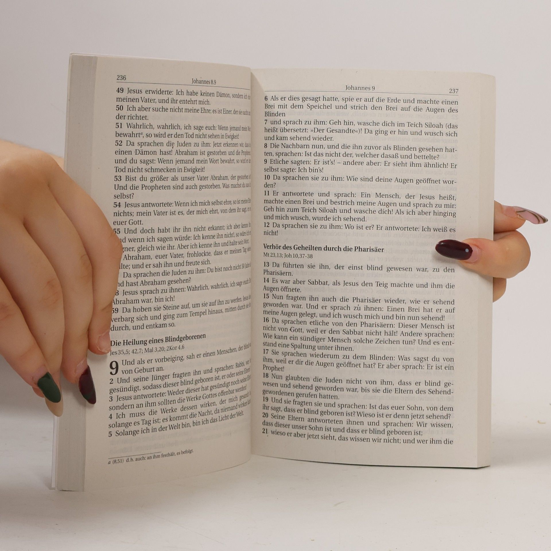 Kolektiv autorů Die Bibel