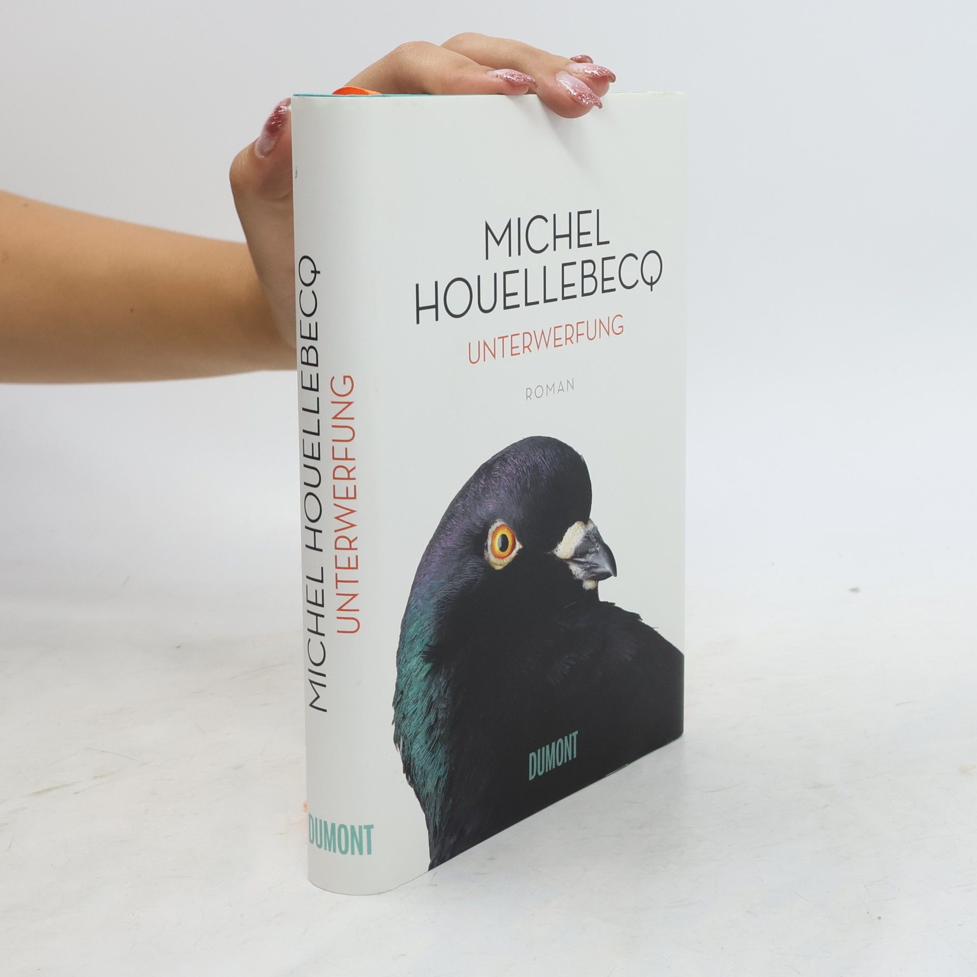 Michel Houellebecq Unterwerfung