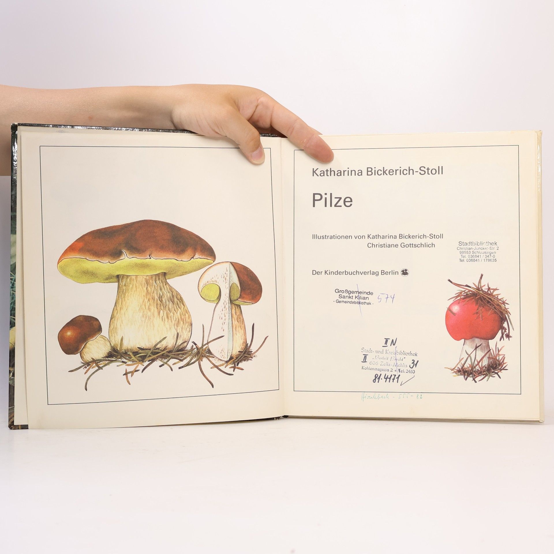 Collectif d'auteurs Pilze