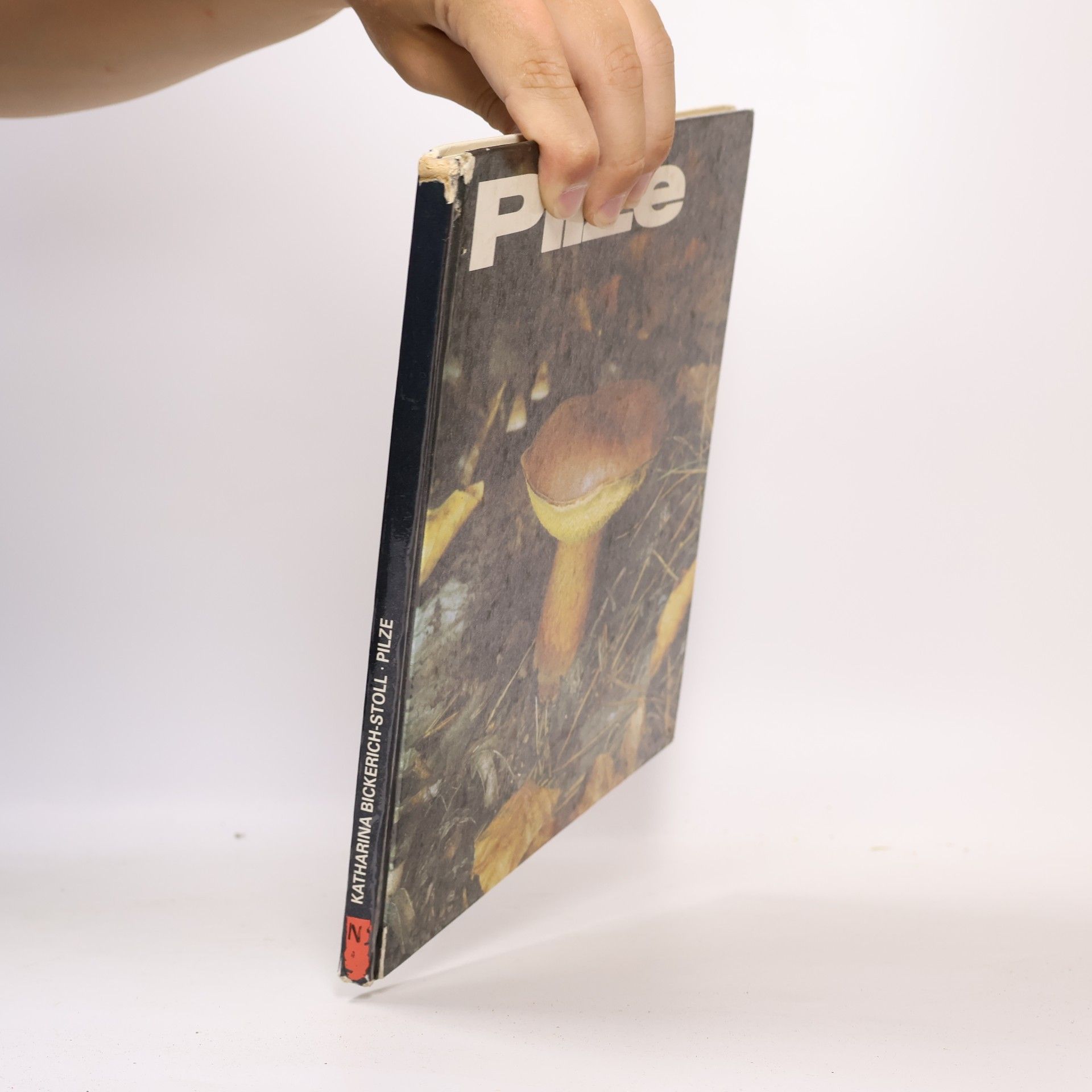 Collectif d'auteurs Pilze