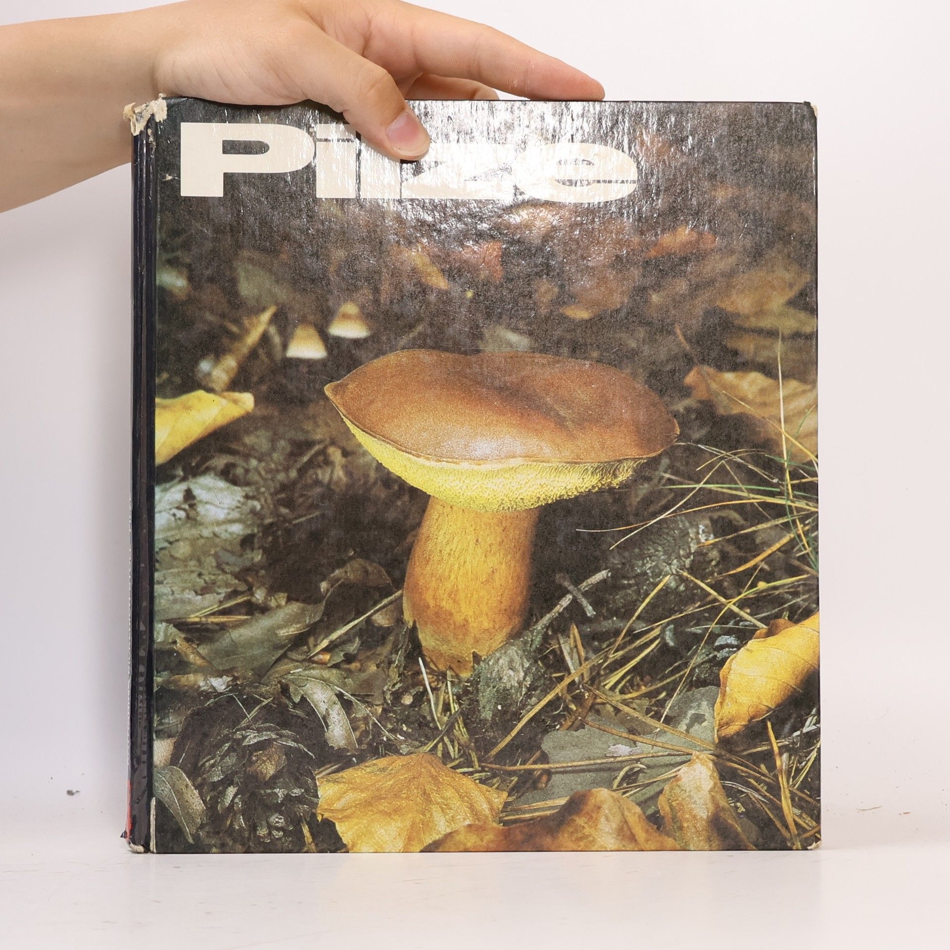 Collectif d'auteurs Pilze