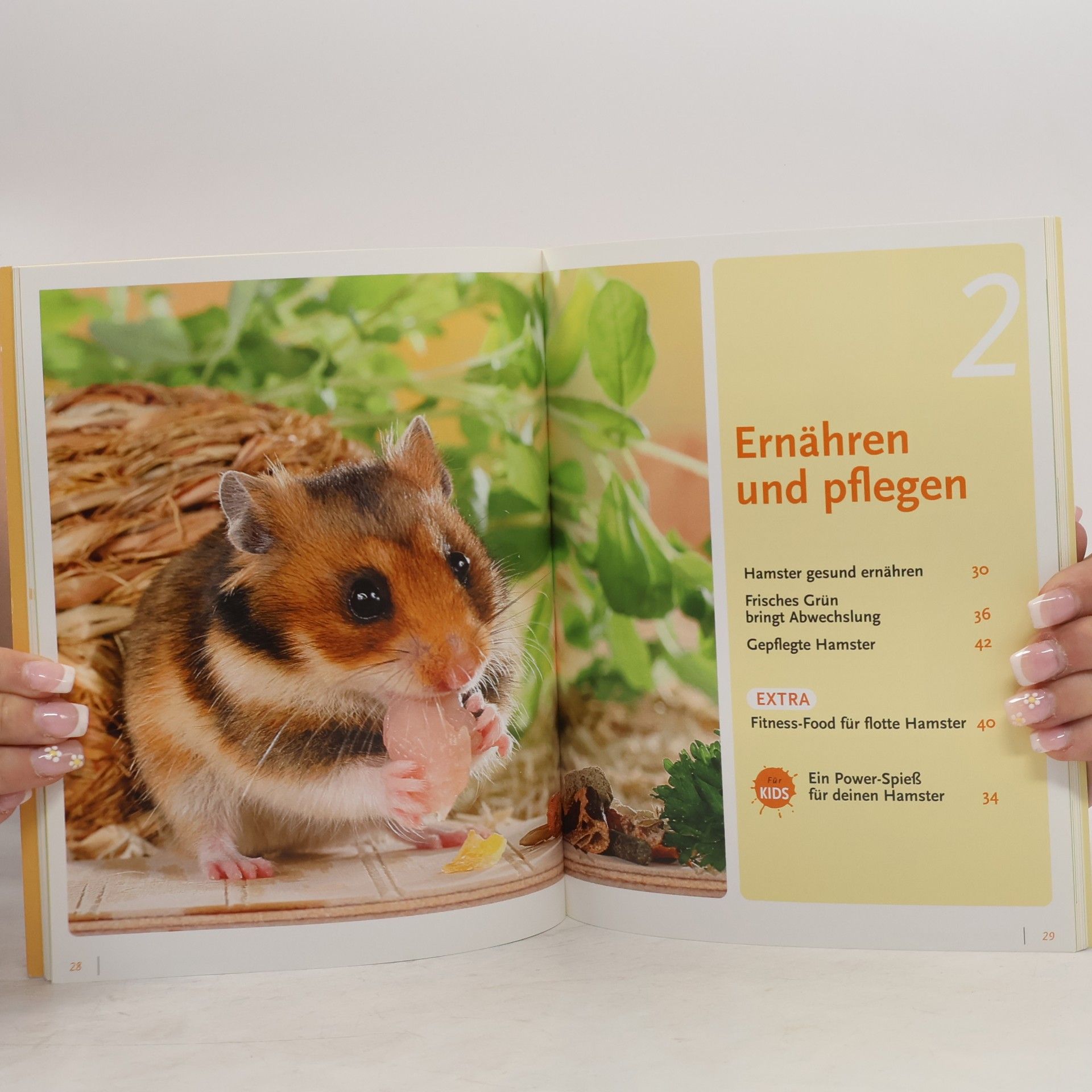 Angela Beck Hamster