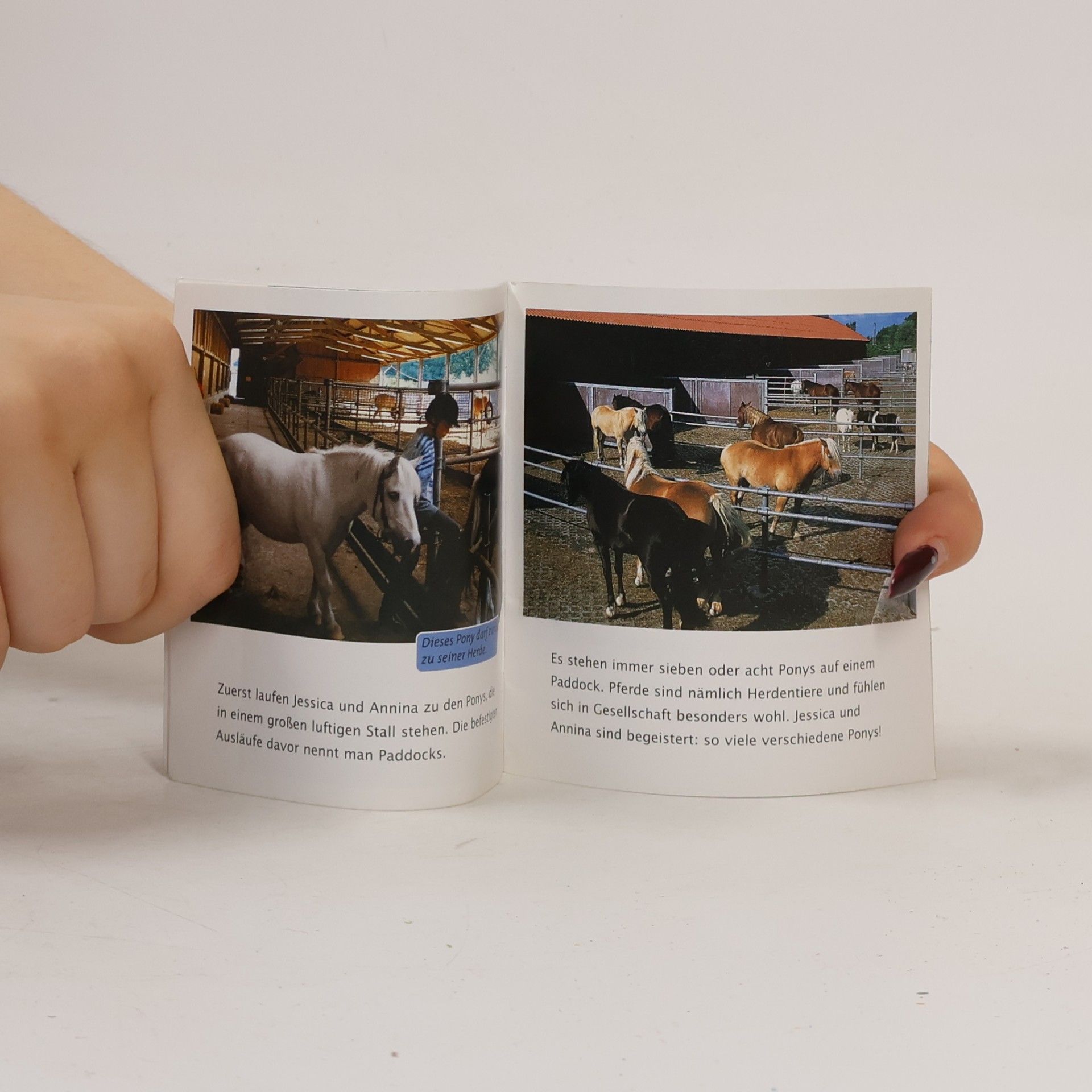 Kolektiv autorů Unser Ponyhof