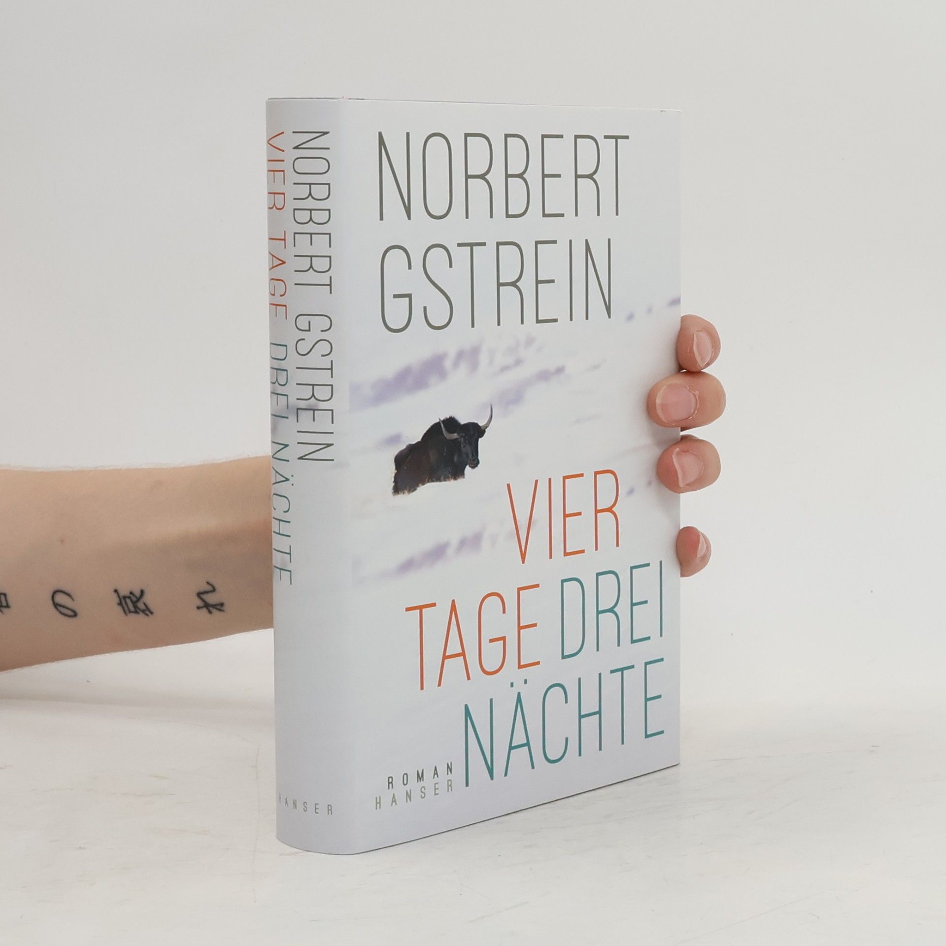 Norbert Gstrein Vier Tage, drei Nächte