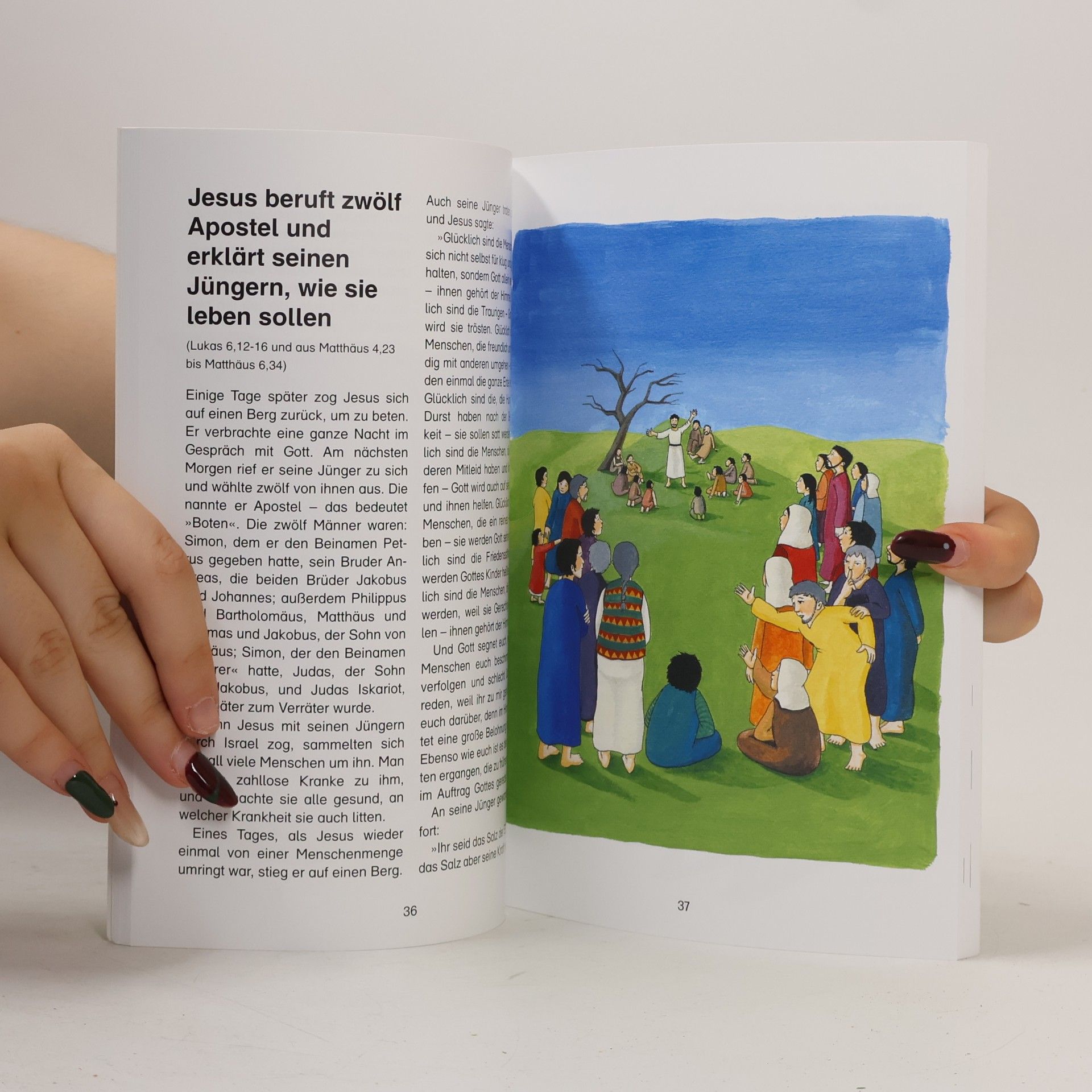 Martina Merckel-Braun Elberfelder Kinderbibel