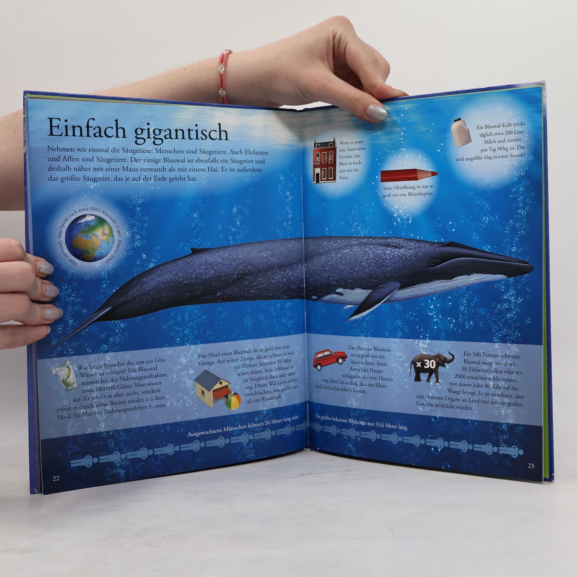 Auteurscollectief Lexikon der Tiere