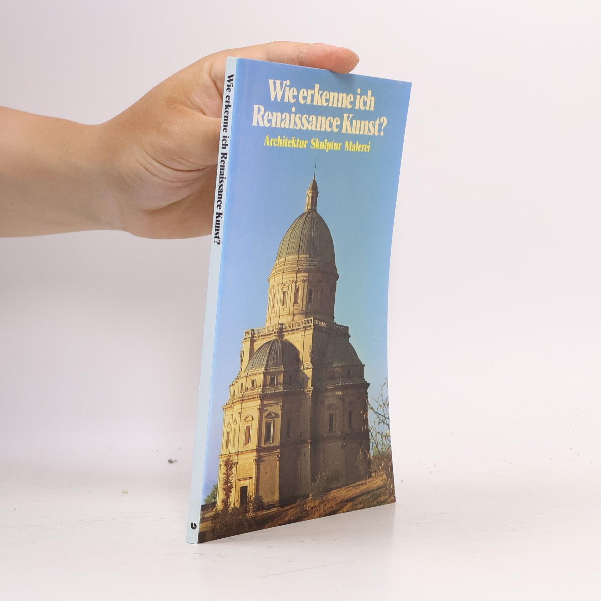 Flavio Conti Wie erkenne ich Renaissancekunst?
