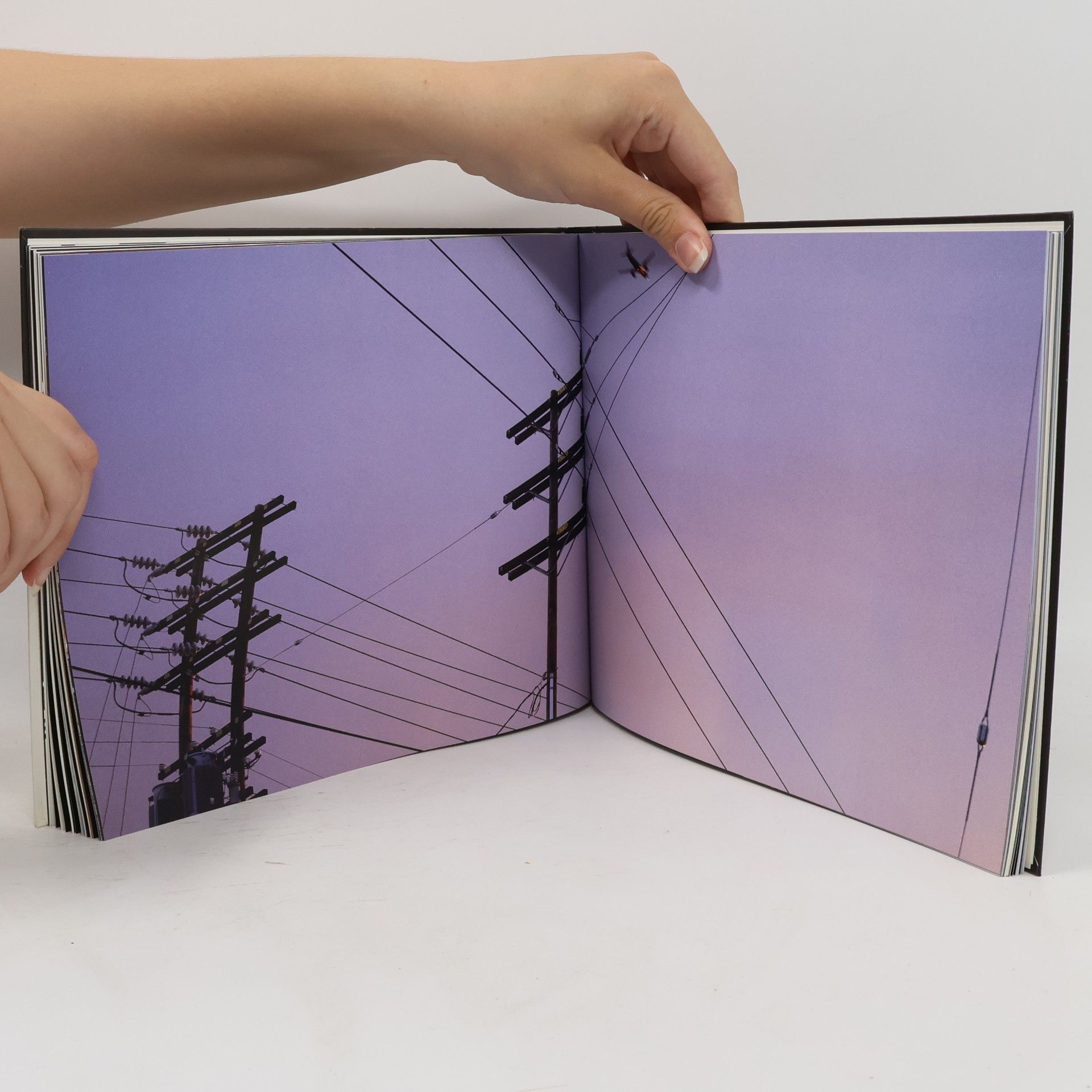 Doug Aitken Notes for New Religions, Notes for No Religions