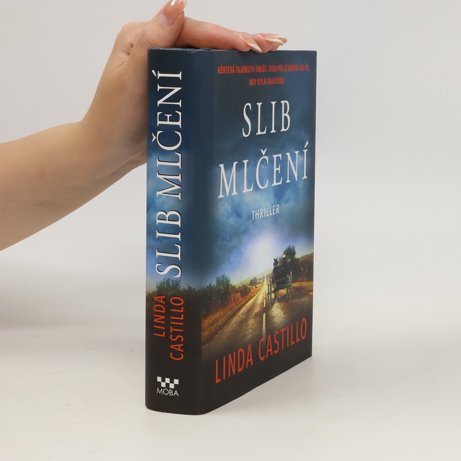Linda Castillo Slib mlčení