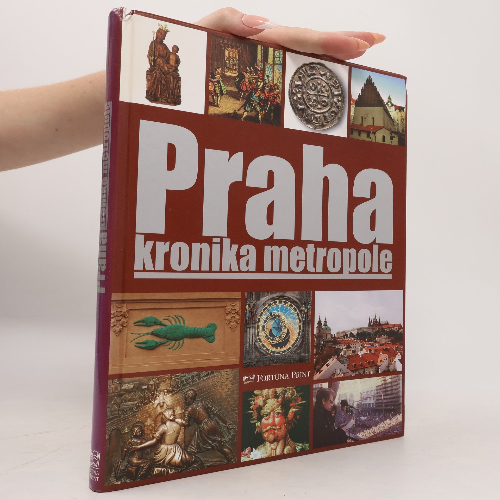 Pavel Bělina Praha : kronika metropole