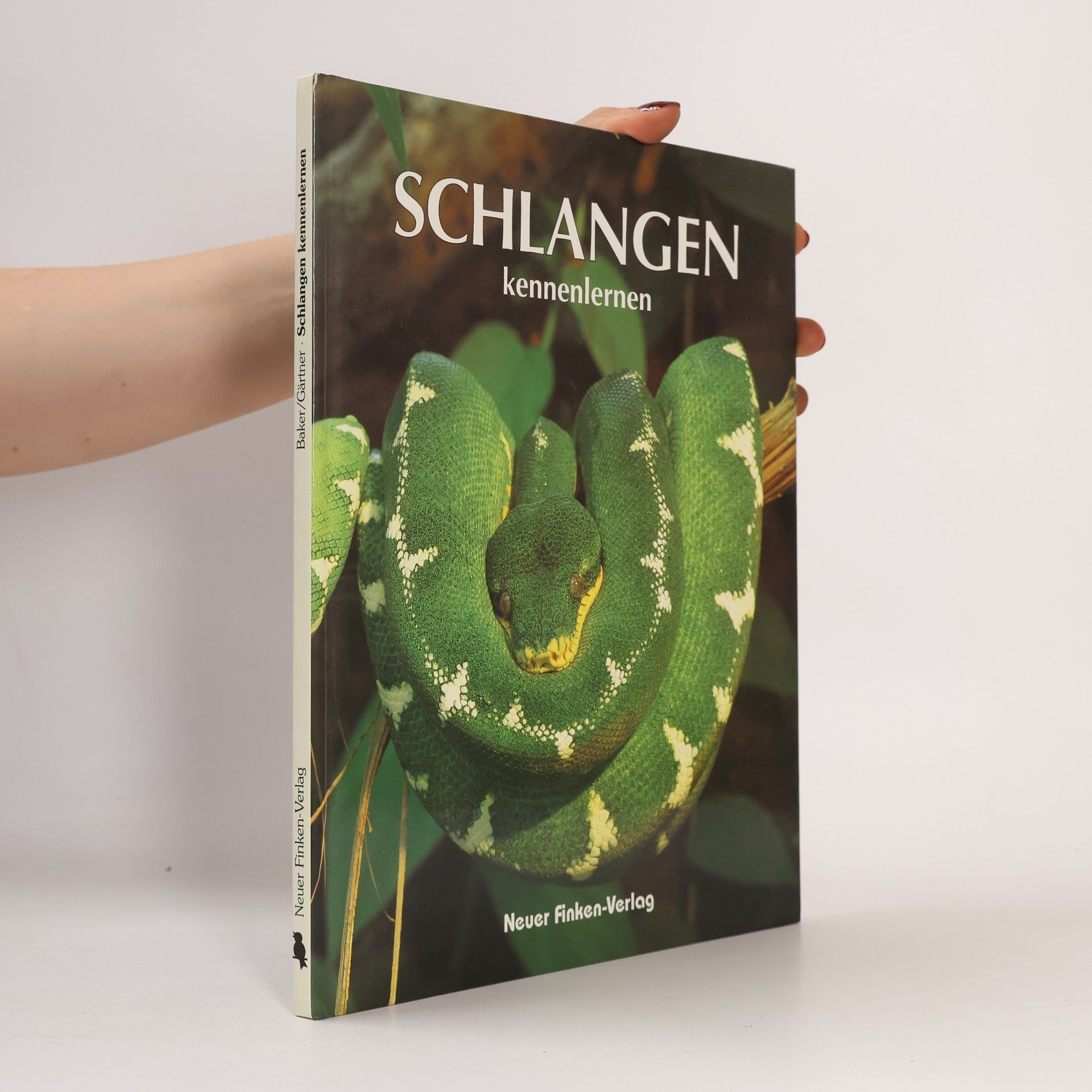 Schlangen kennenlernen