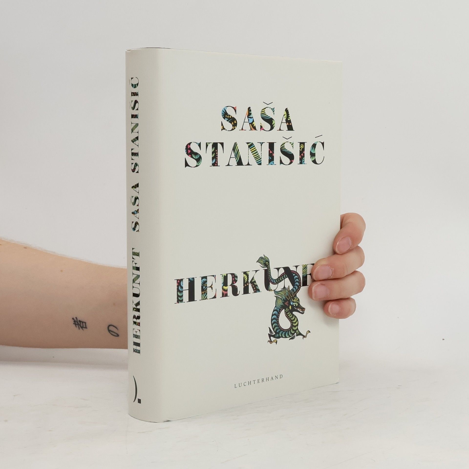 Saša Stanišič Herkunft
