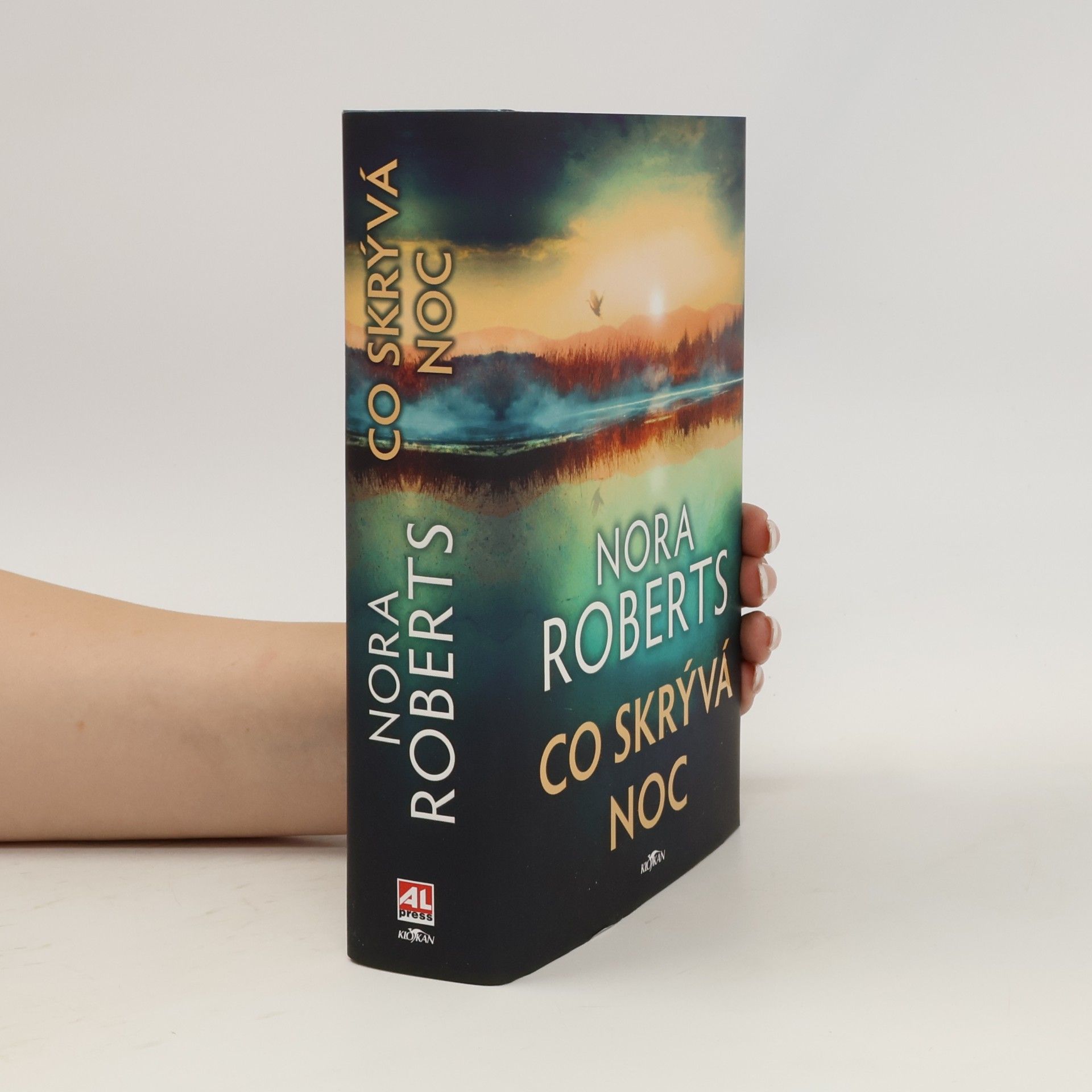 Nora Roberts Co skrývá noc