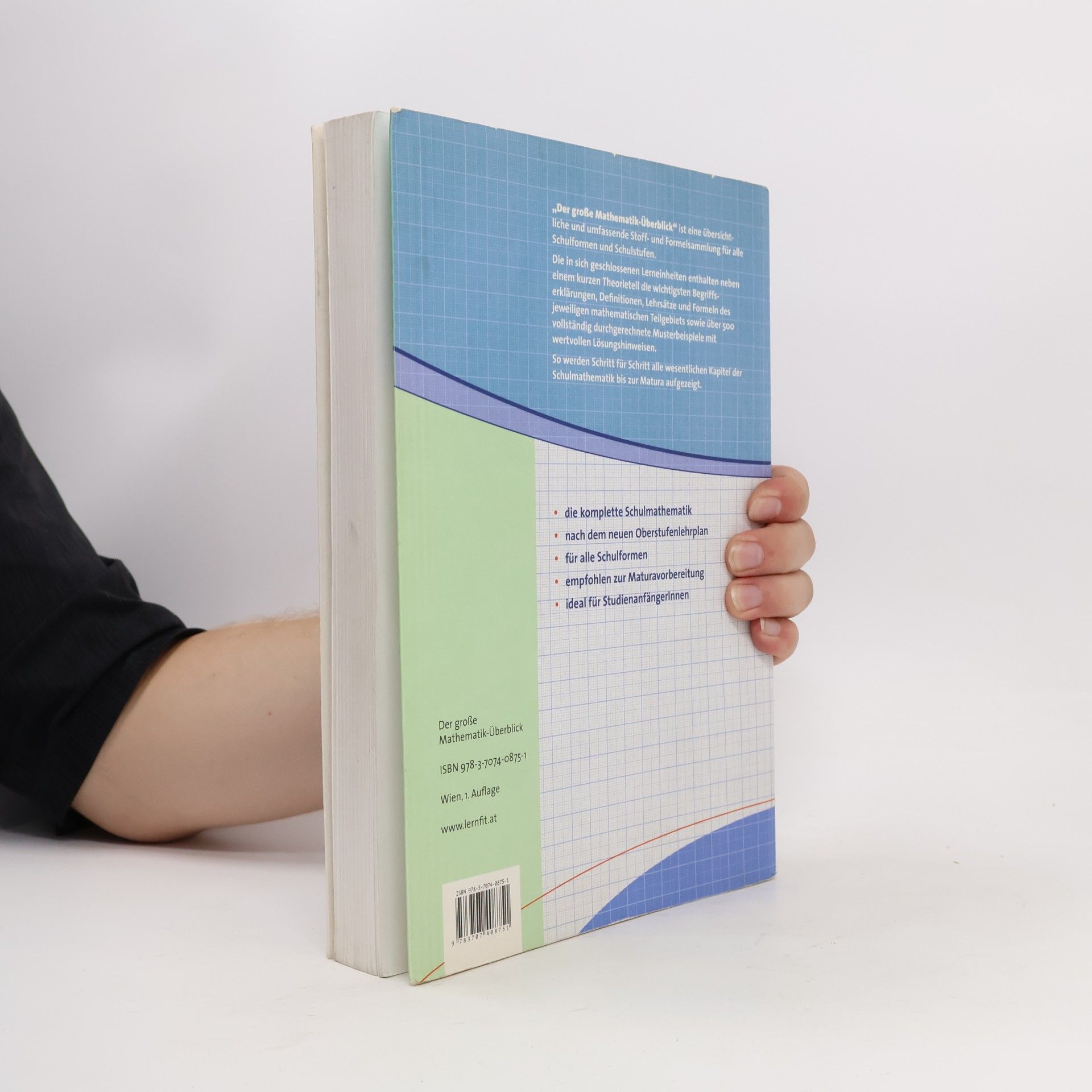 Bernhard Martin Der große Mathematik-Überblick