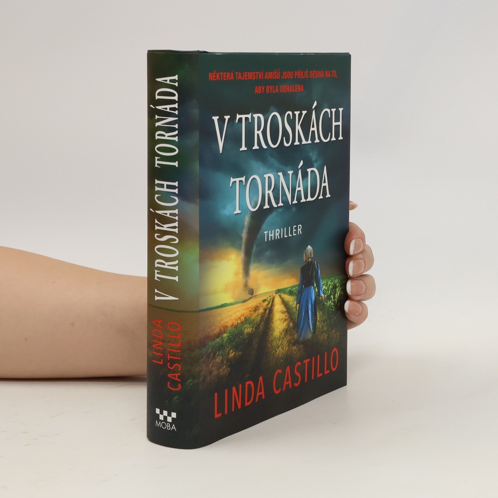 Linda Castillo V troskách tornáda