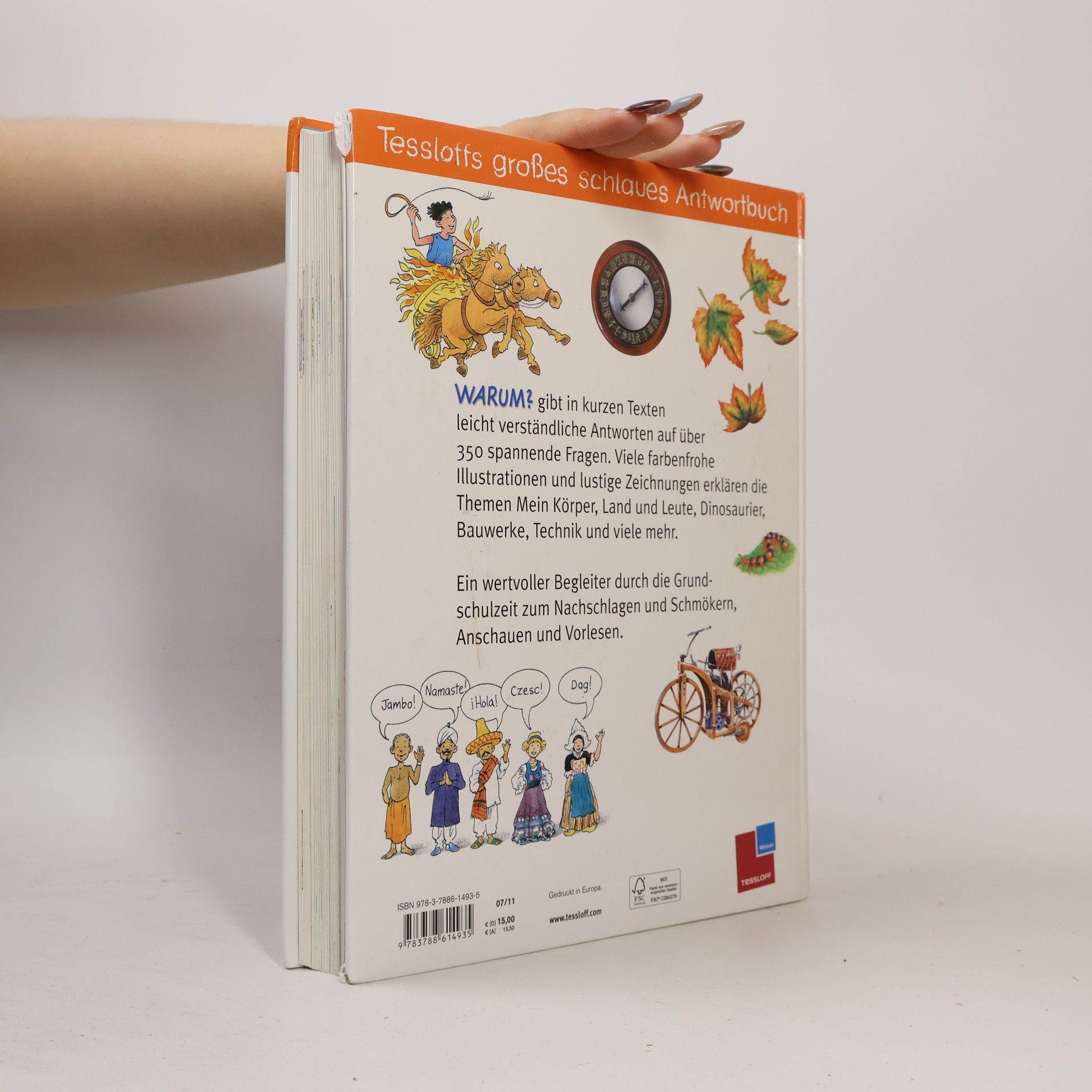 Autorenkollektiv Tessloffs großes schlaues Antwortbuch: Warum?