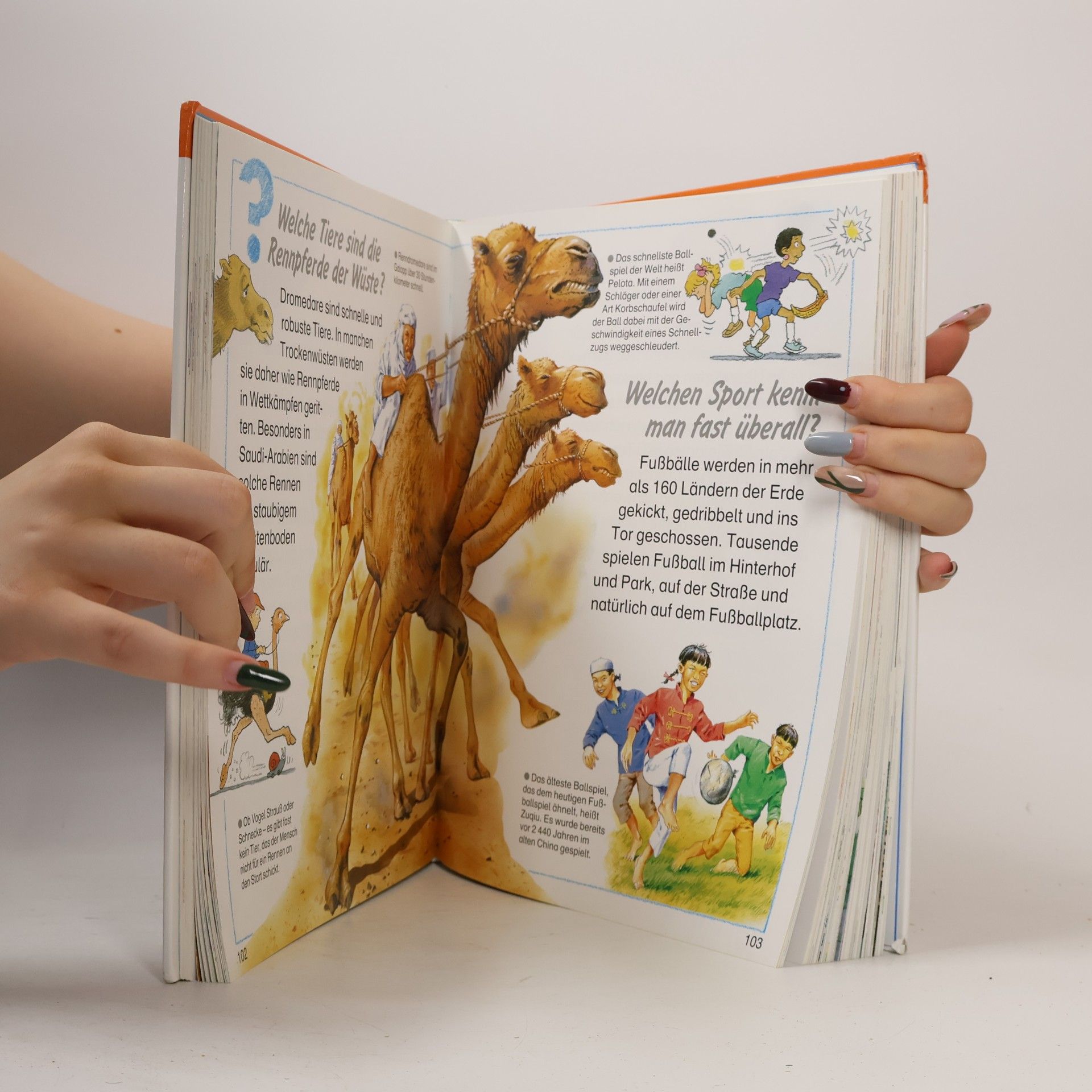 Autorenkollektiv Tessloffs großes schlaues Antwortbuch: Warum?