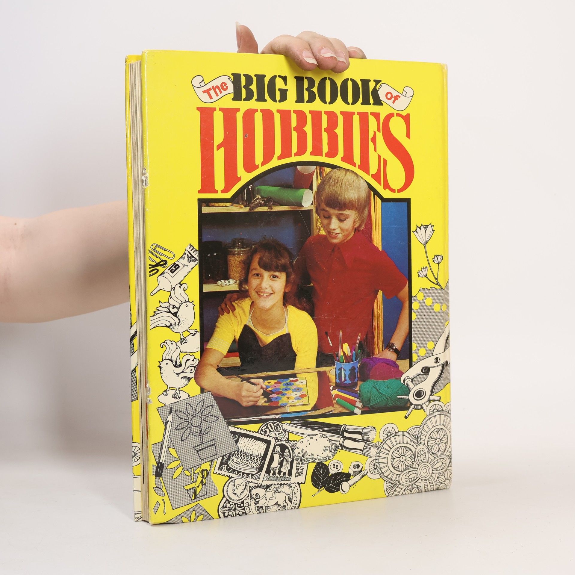 Jennifer Curry The Big Book of Hobbies