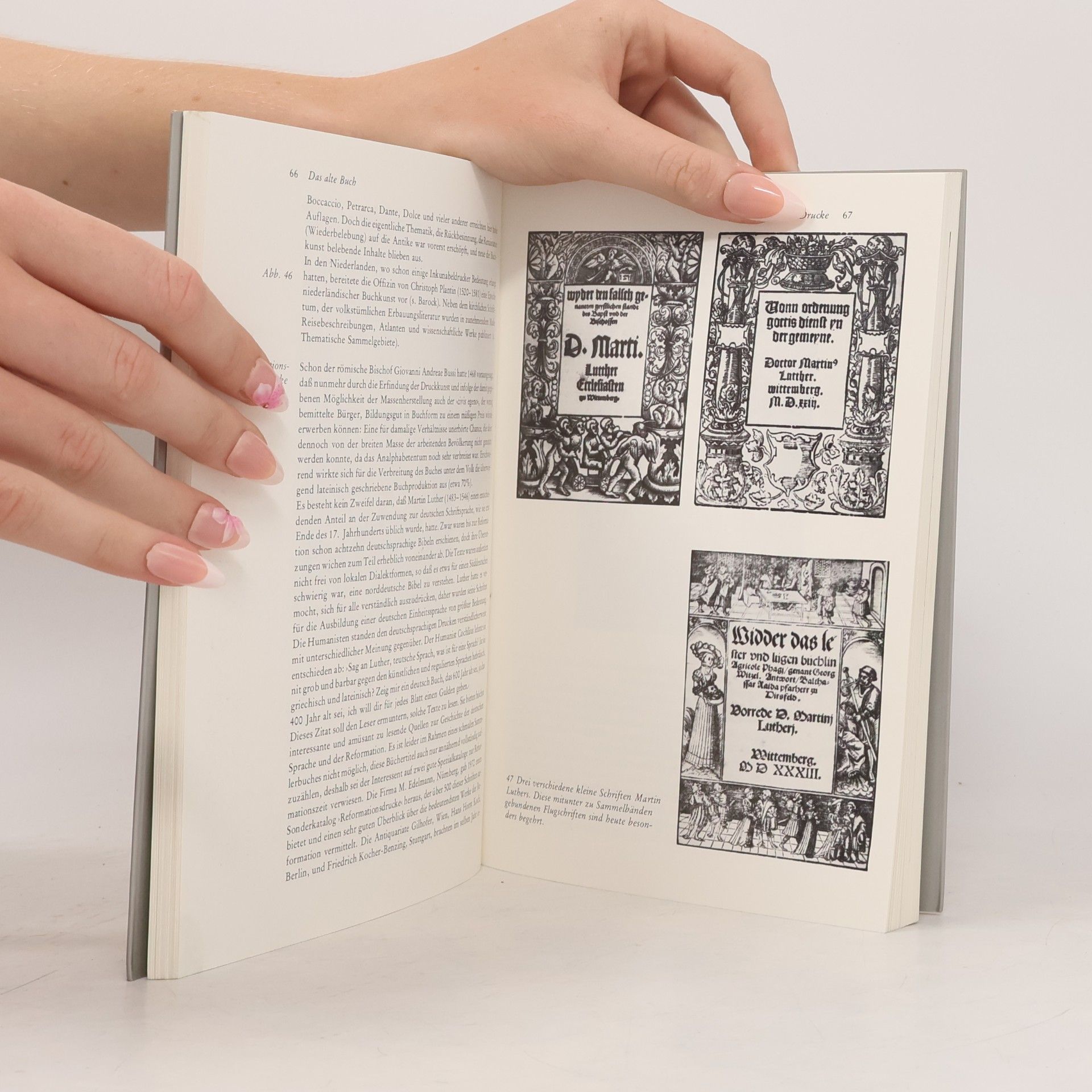 Thomas Hilka Bücher: Sammeln - Bestimmen - Pflegen