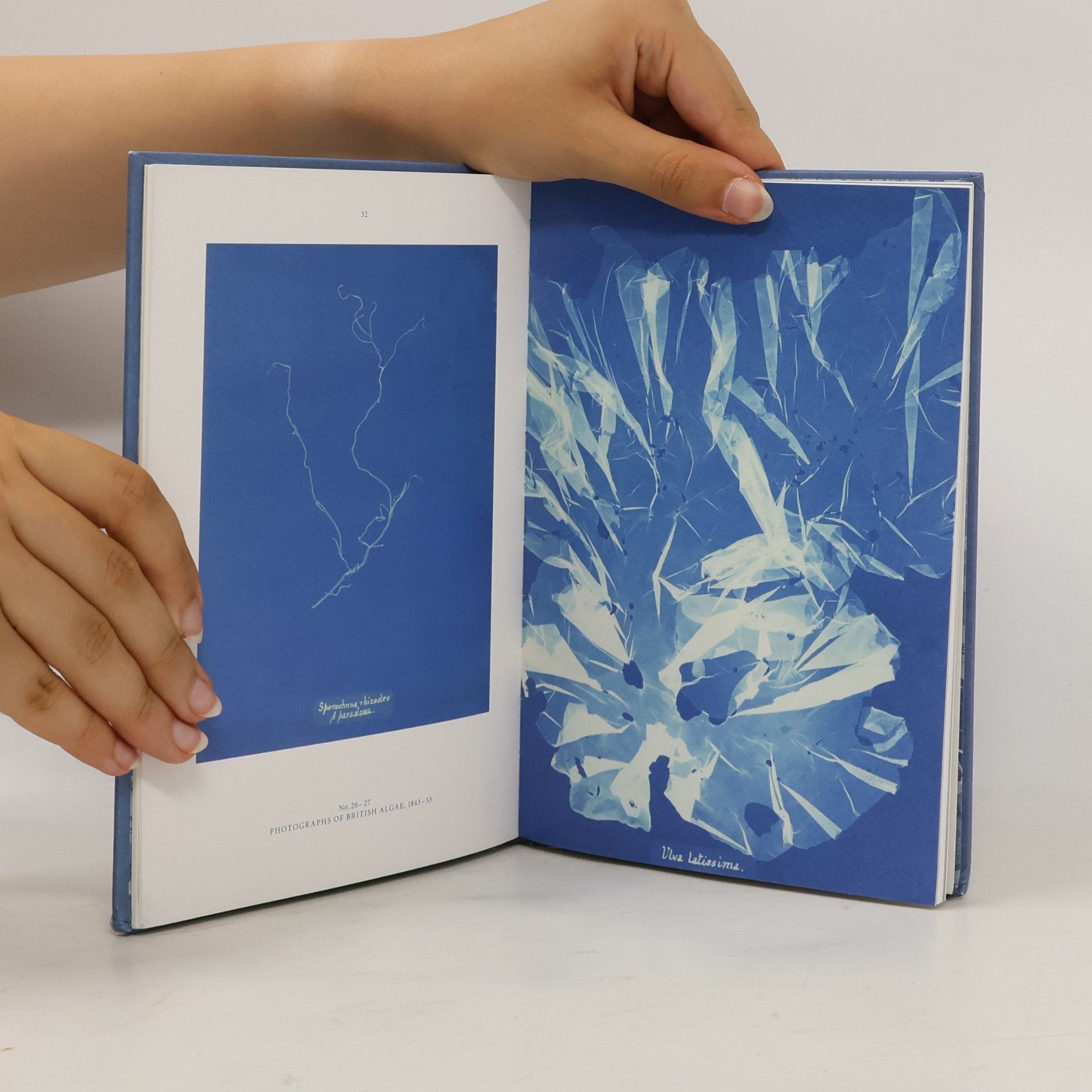 Rolf Sachsse Anna Atkins