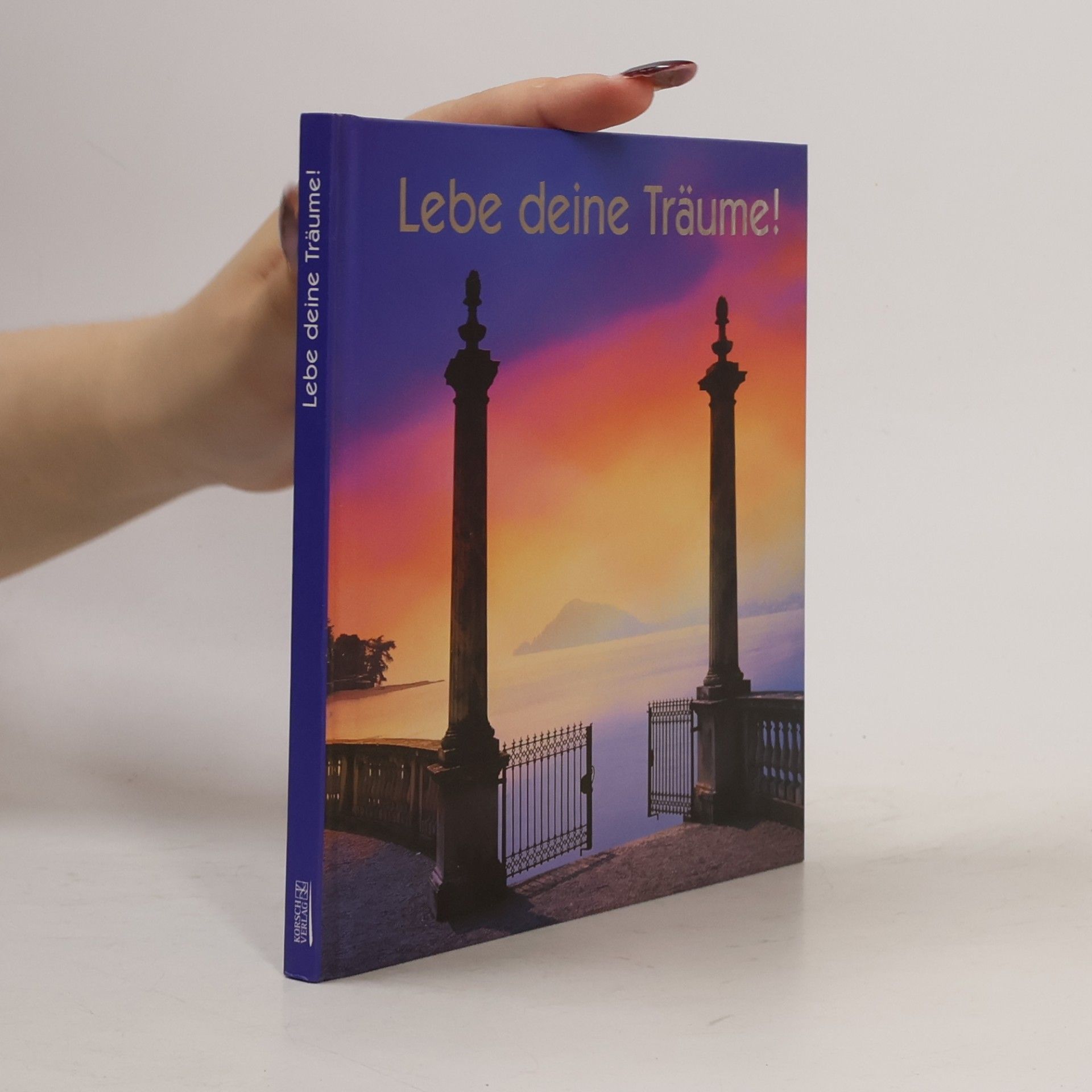Autorenkollektiv Lebe deine Träume!