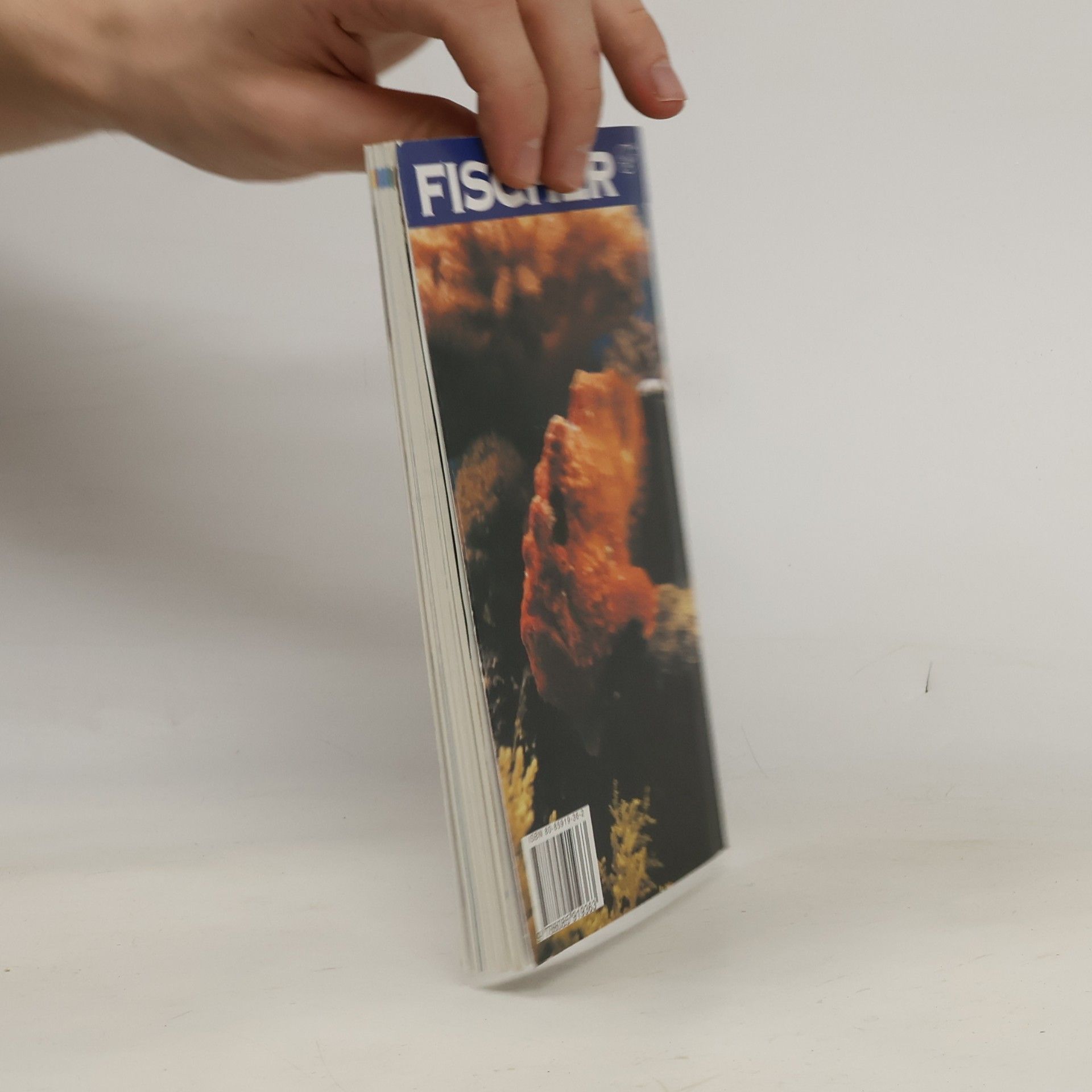 Filip Šilhan Izrael : informace & tipy na dovolenou