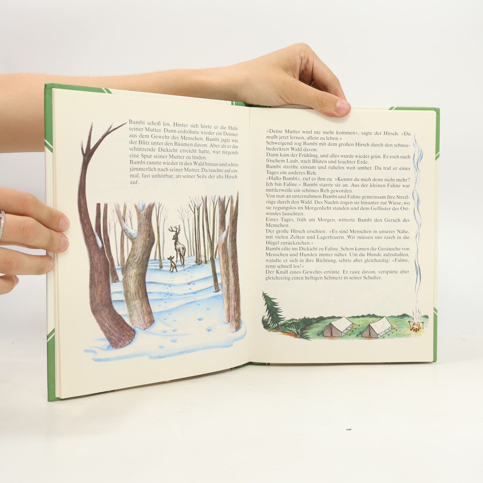 Autorenkollektiv Bambi und andere Tiergeschichten
