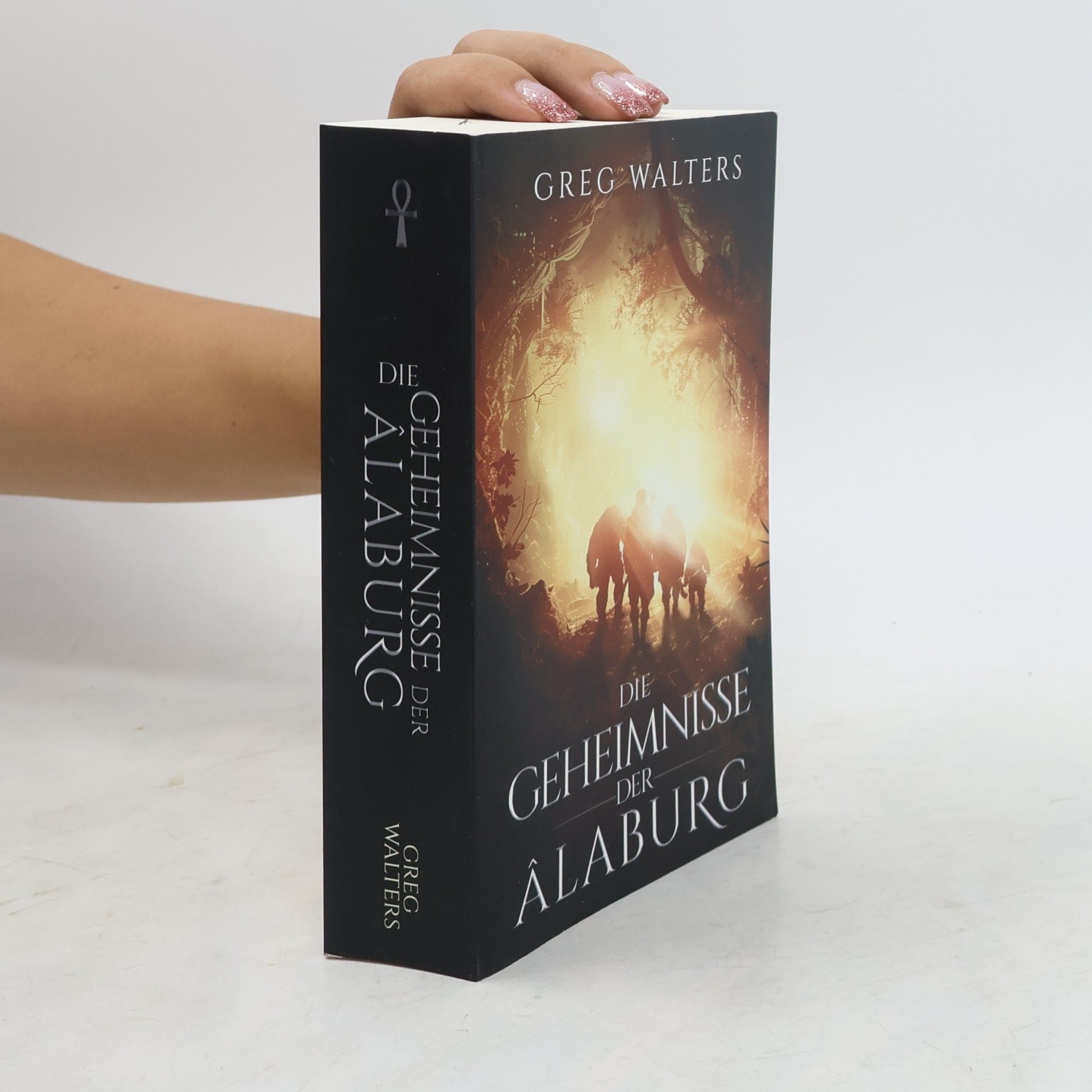 Greg Walters Die Farbseher Saga: Die Geheimnisse der Alaburg