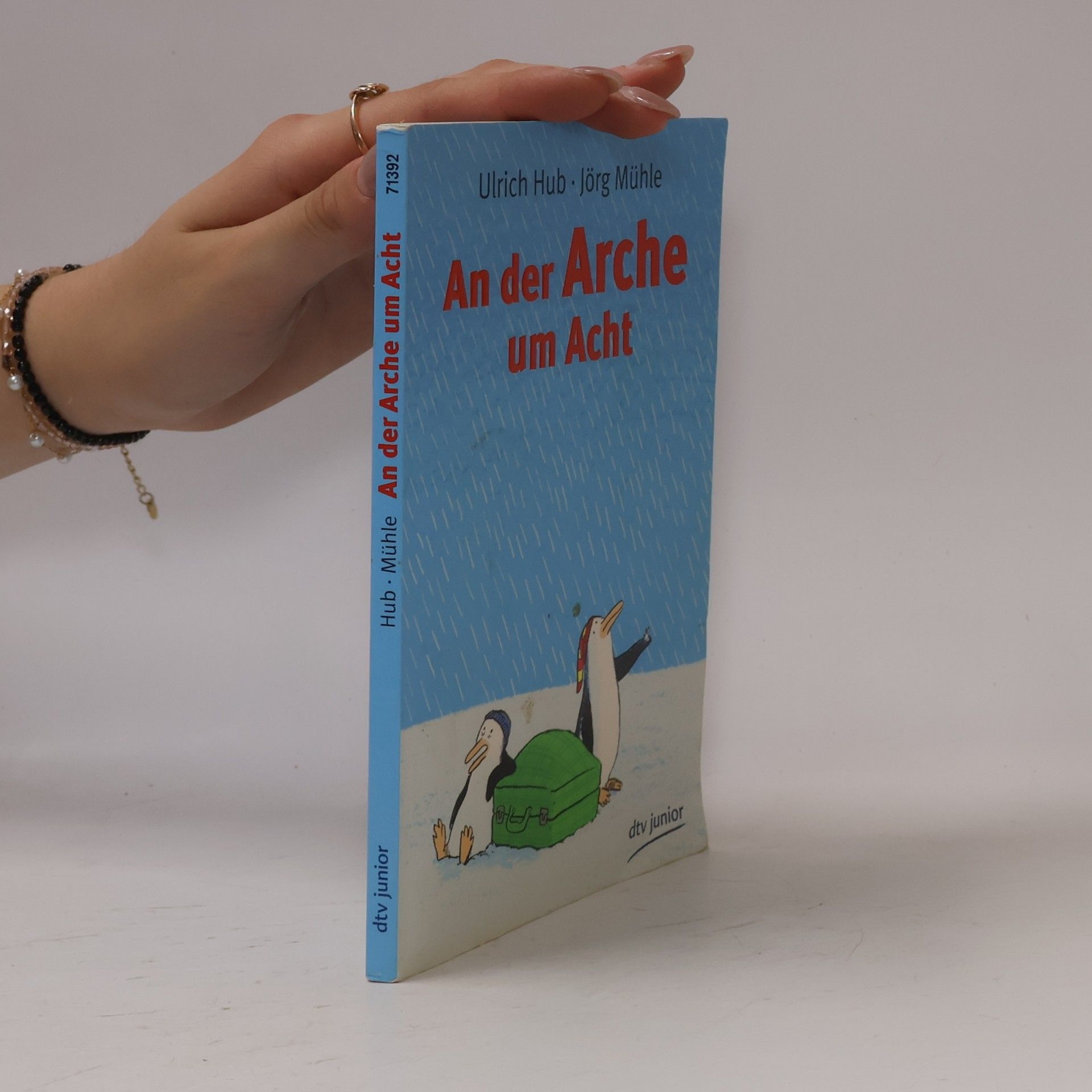 Ulrich Hub An der Arche um Acht