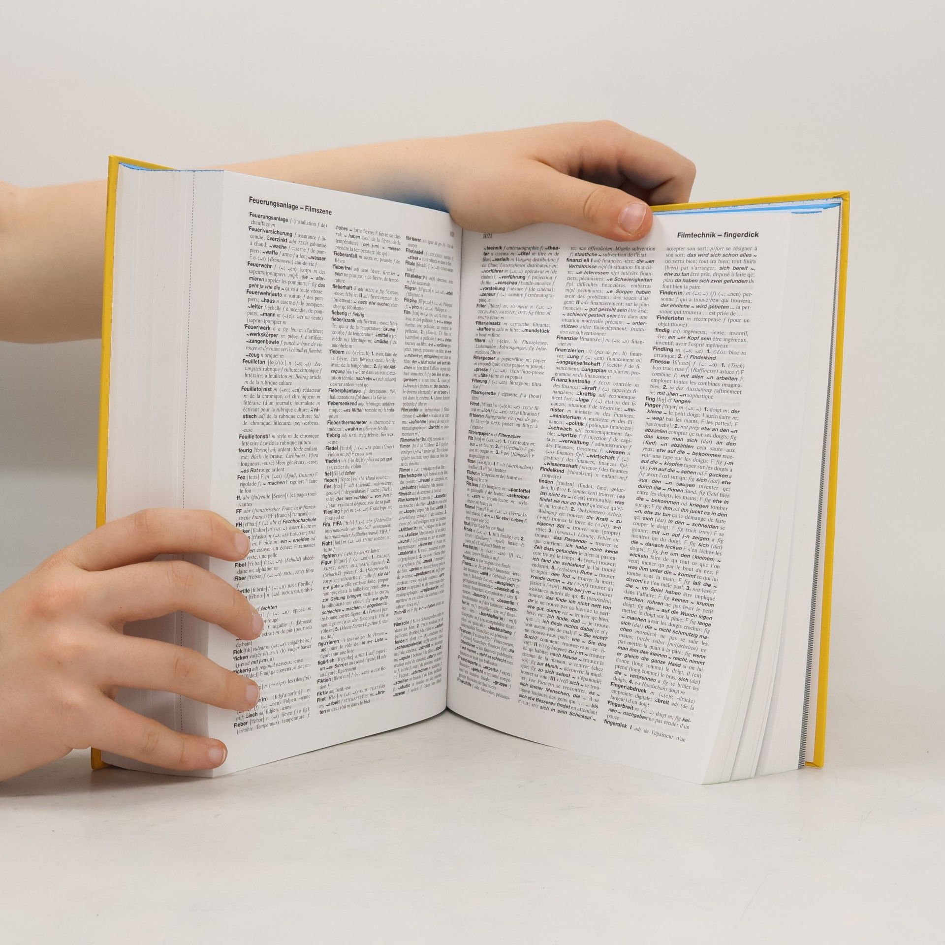Autorenkollektiv Langenscheidts Handwörterbuch. Französisch - Deutsch. Díl I