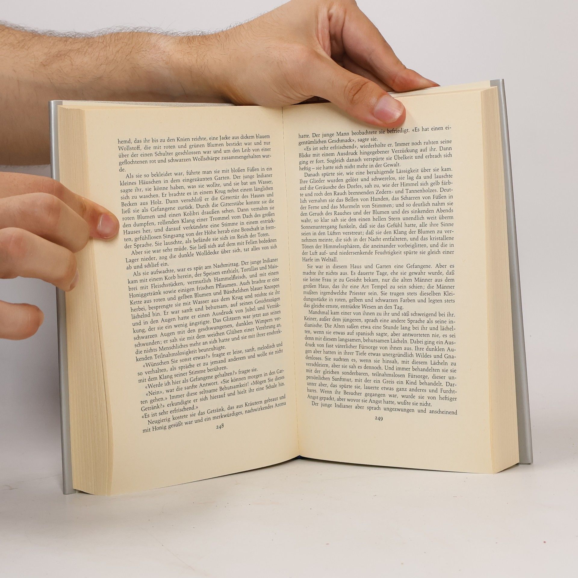 D. H. Lawrence Die Frau, die davonritt