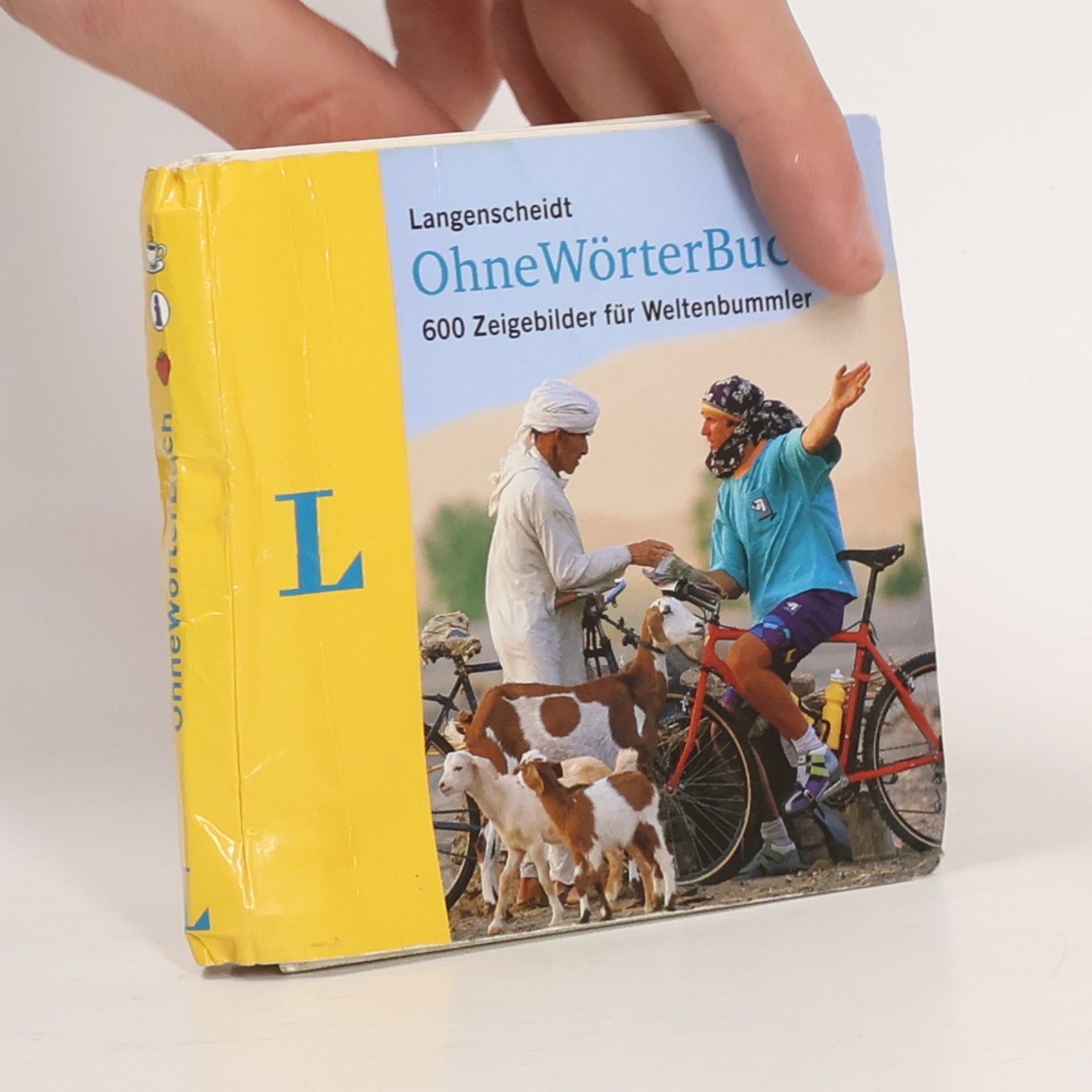 Katrin Merle Langenscheidt, OhneWörterBuch
