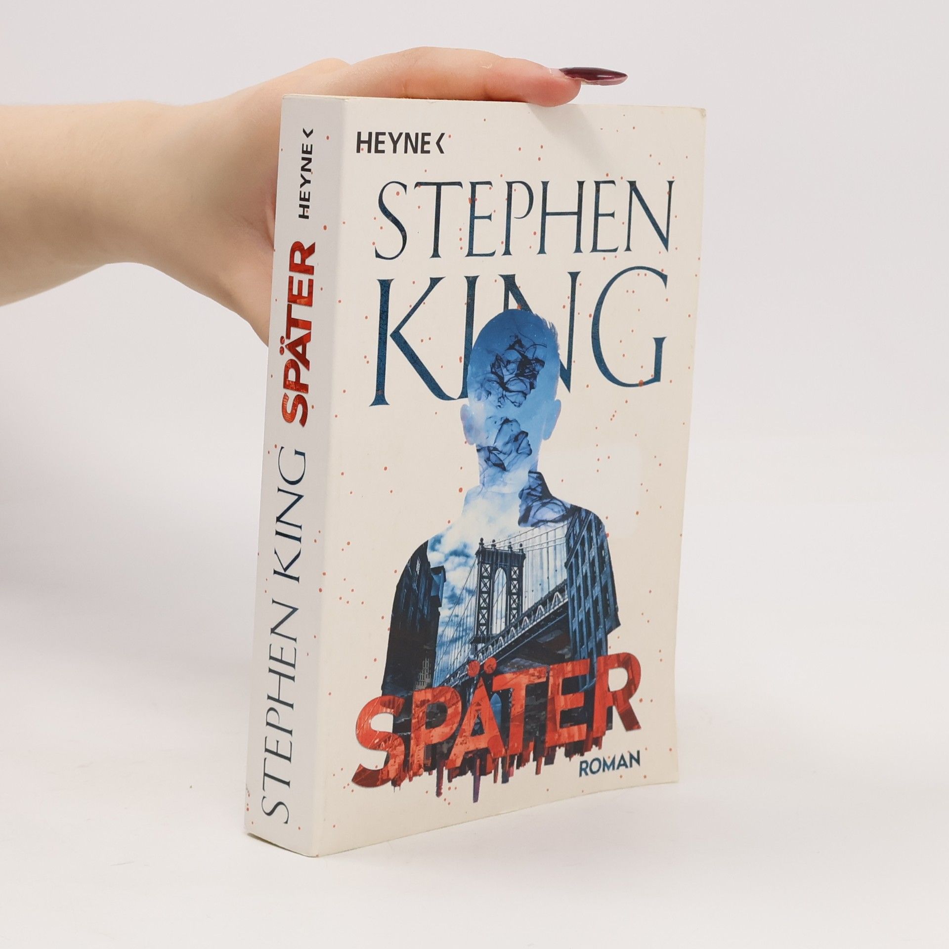 Stephen King Später
