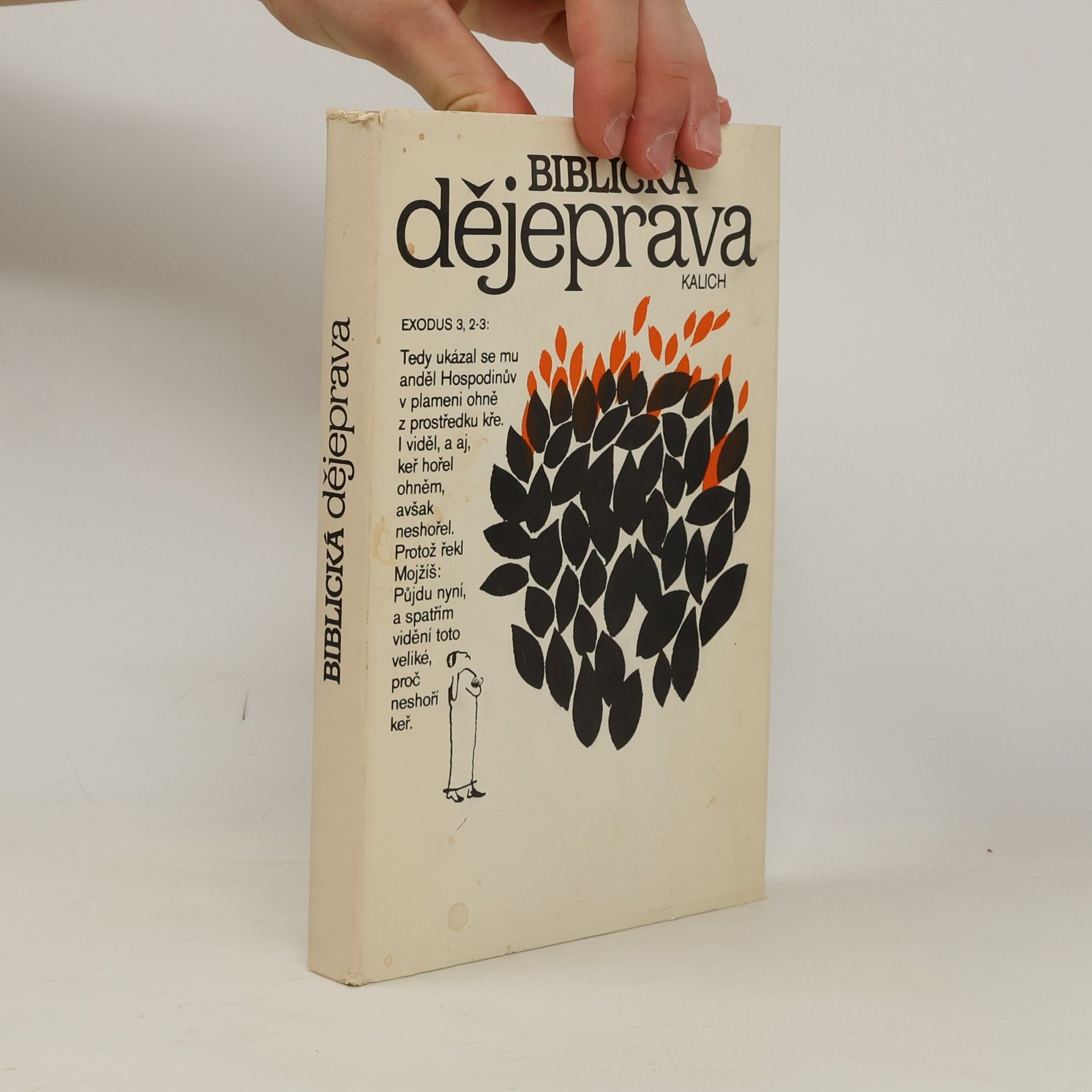 Various authors Biblická dějeprava