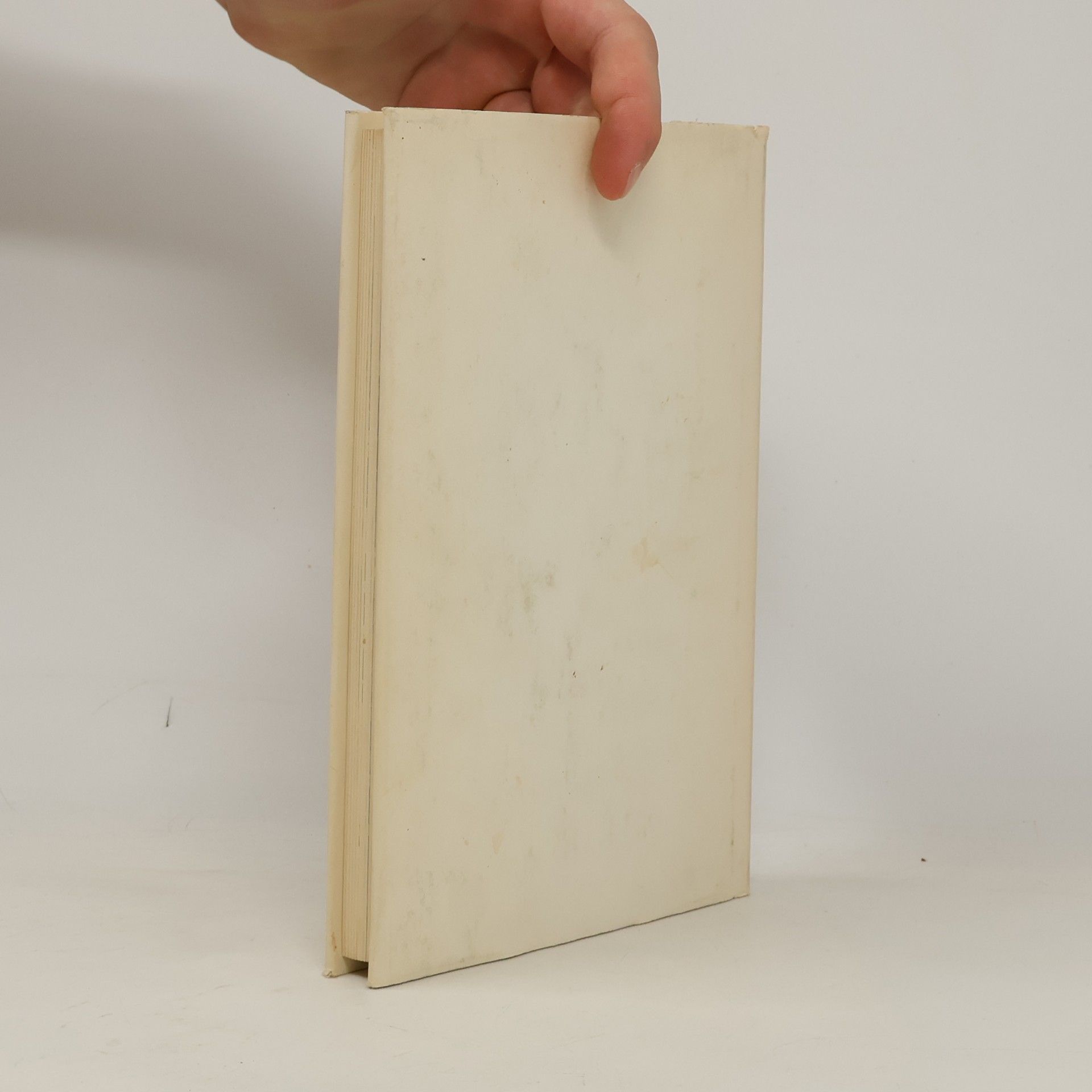 Kolektiv autorů Biblická dějeprava