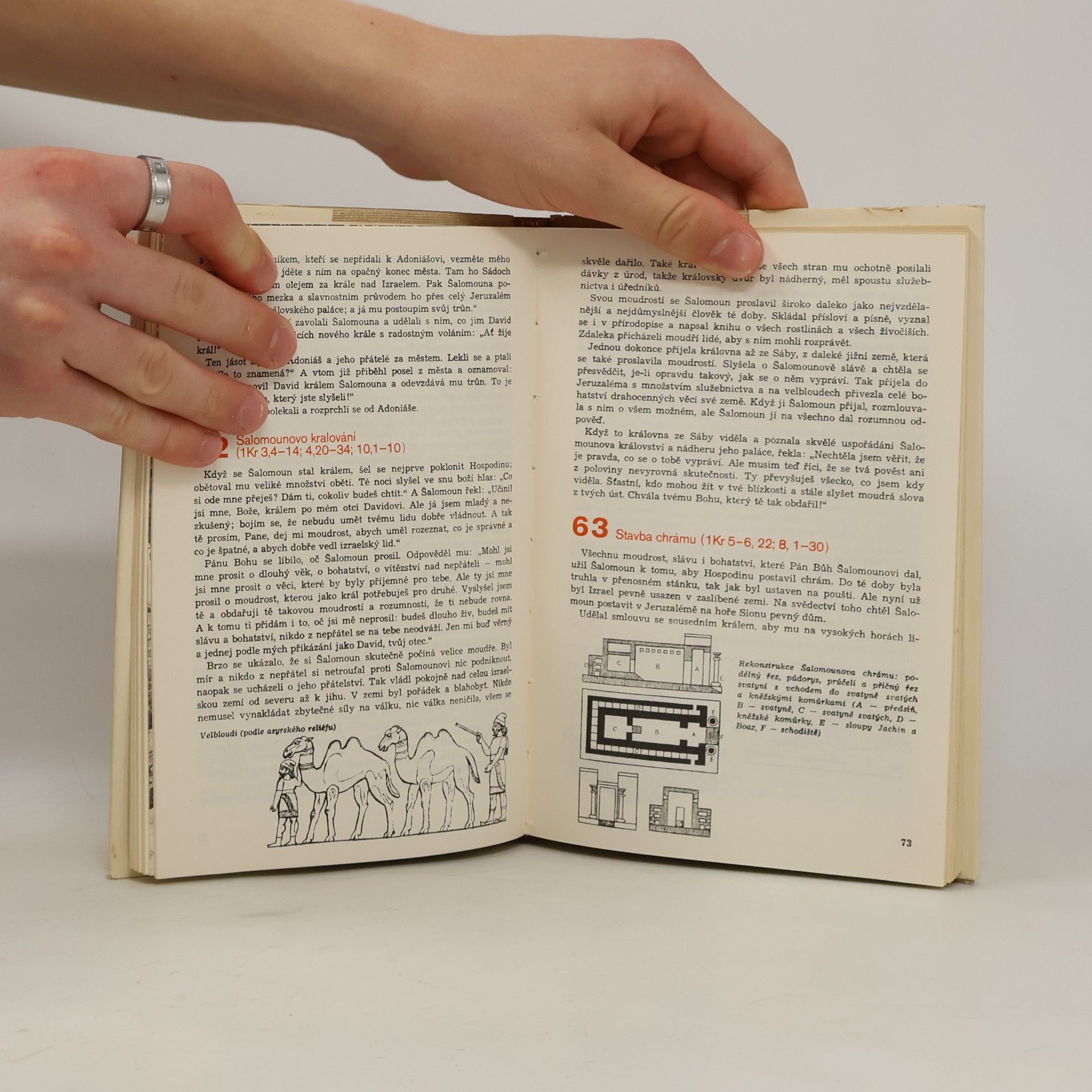 Kolektiv autorů Biblická dějeprava