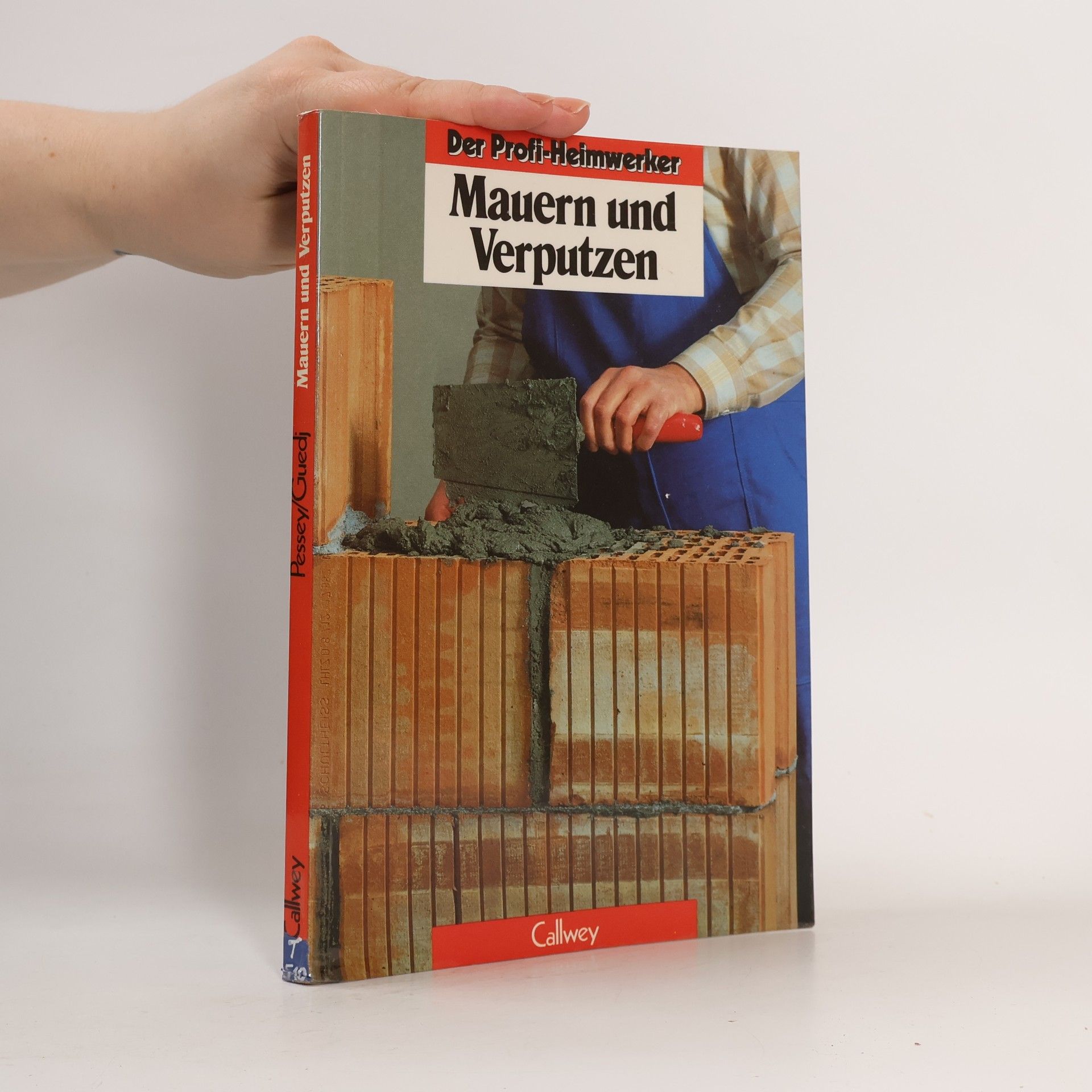 Jean M Louis Der Profi-Heimwerker: Mauern und Verputzen