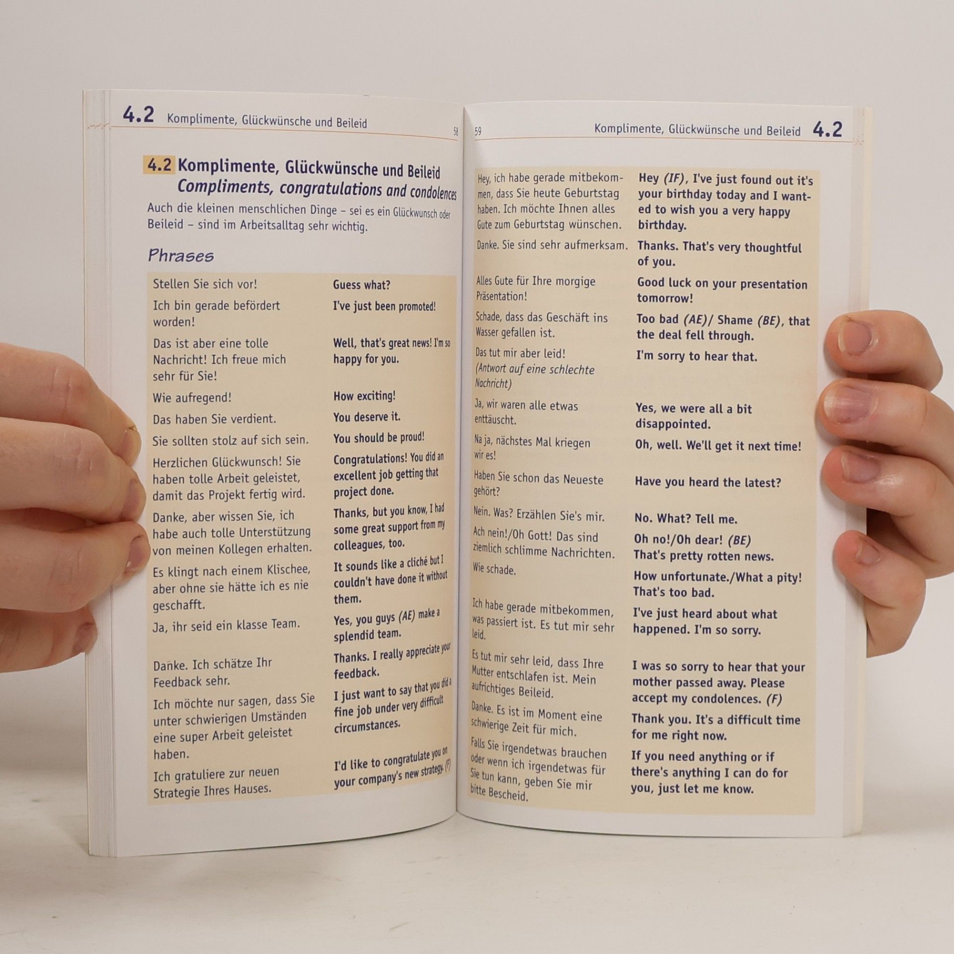Browne O. Brien Langenscheidt, Basic training business English