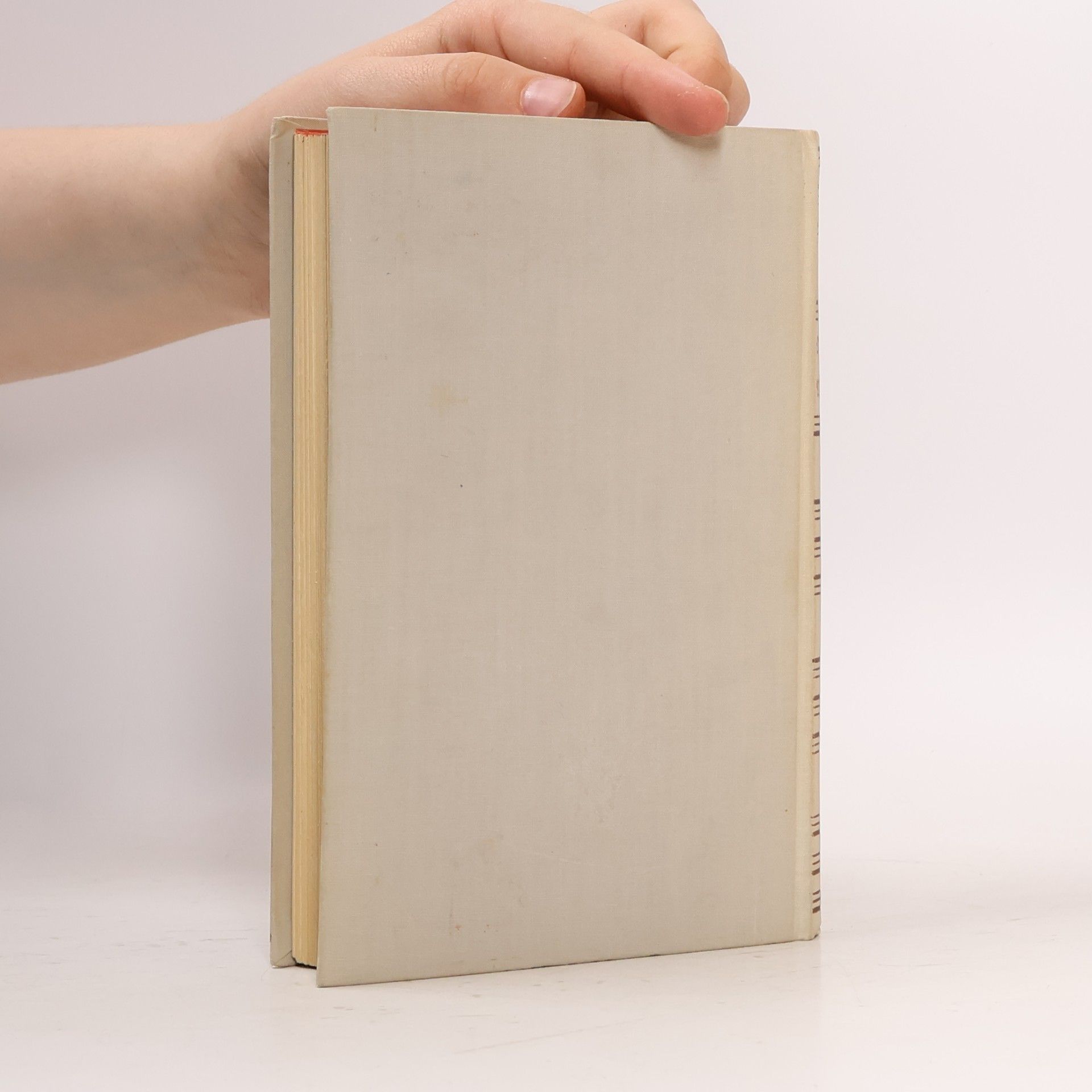 Esther Meynell Die kleine Chronik der Anna Magdalena Bach