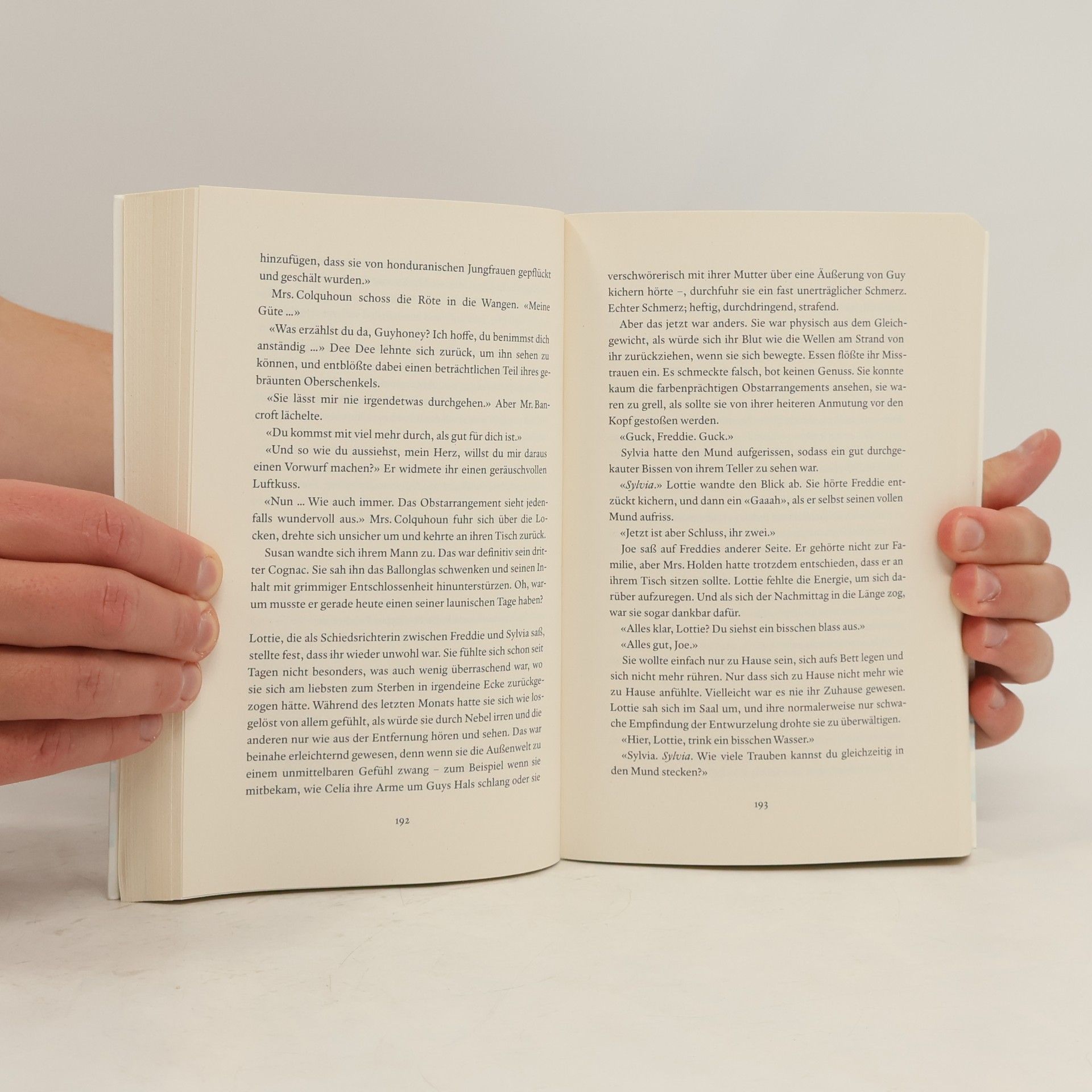 Jojo Moyes Das Haus der Wiederkehr