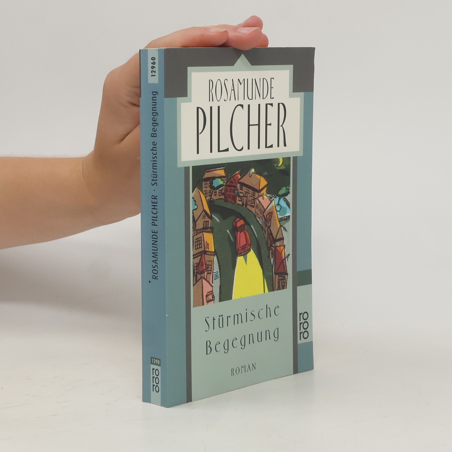 Rosamunde Pilcher Stürmische Begegnung