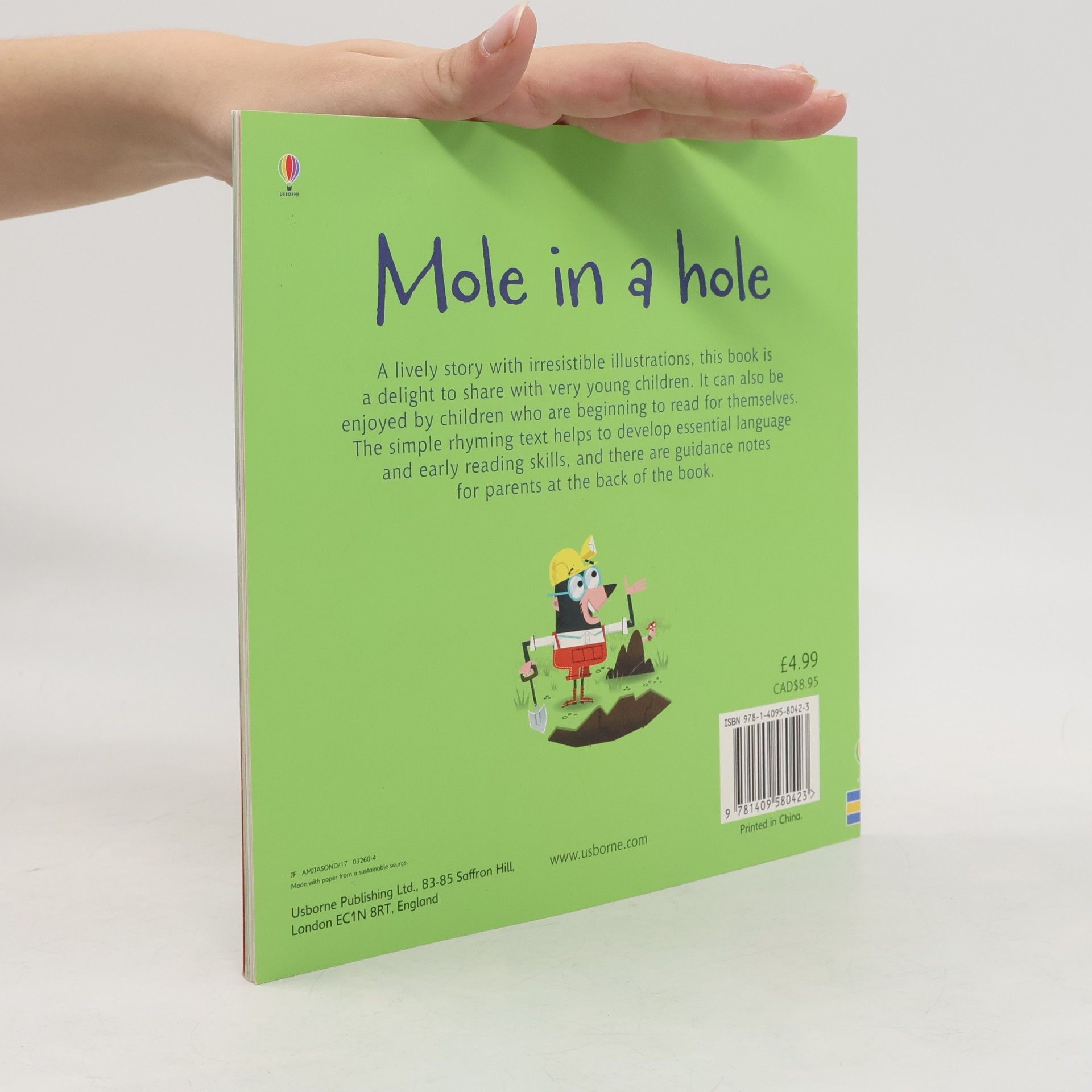 Lesley Sims Mole in a Hole