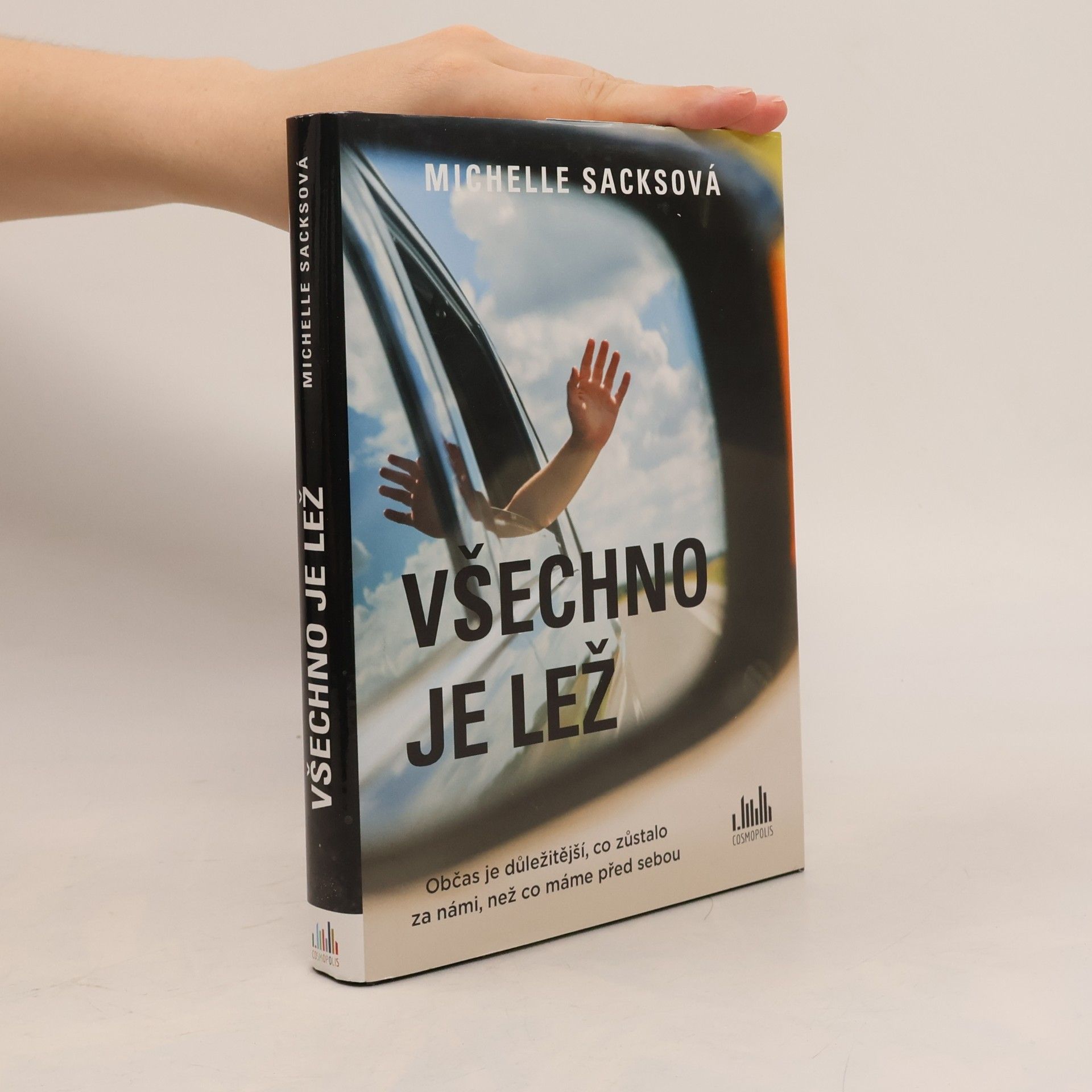 Michelle Sacks Všechno je lež