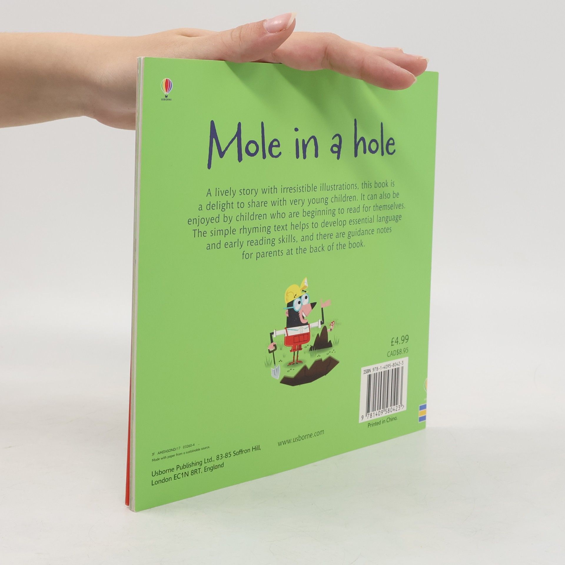 Lesley Sims Mole in a Hole